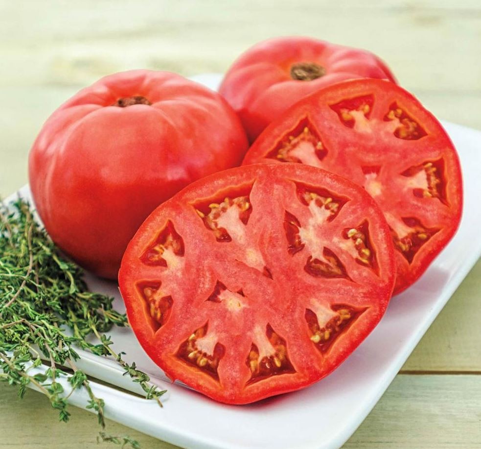 Heirloom Brandywine Tomato Seed Combo 200 Seeds Total – Pink Black Yellow & Red