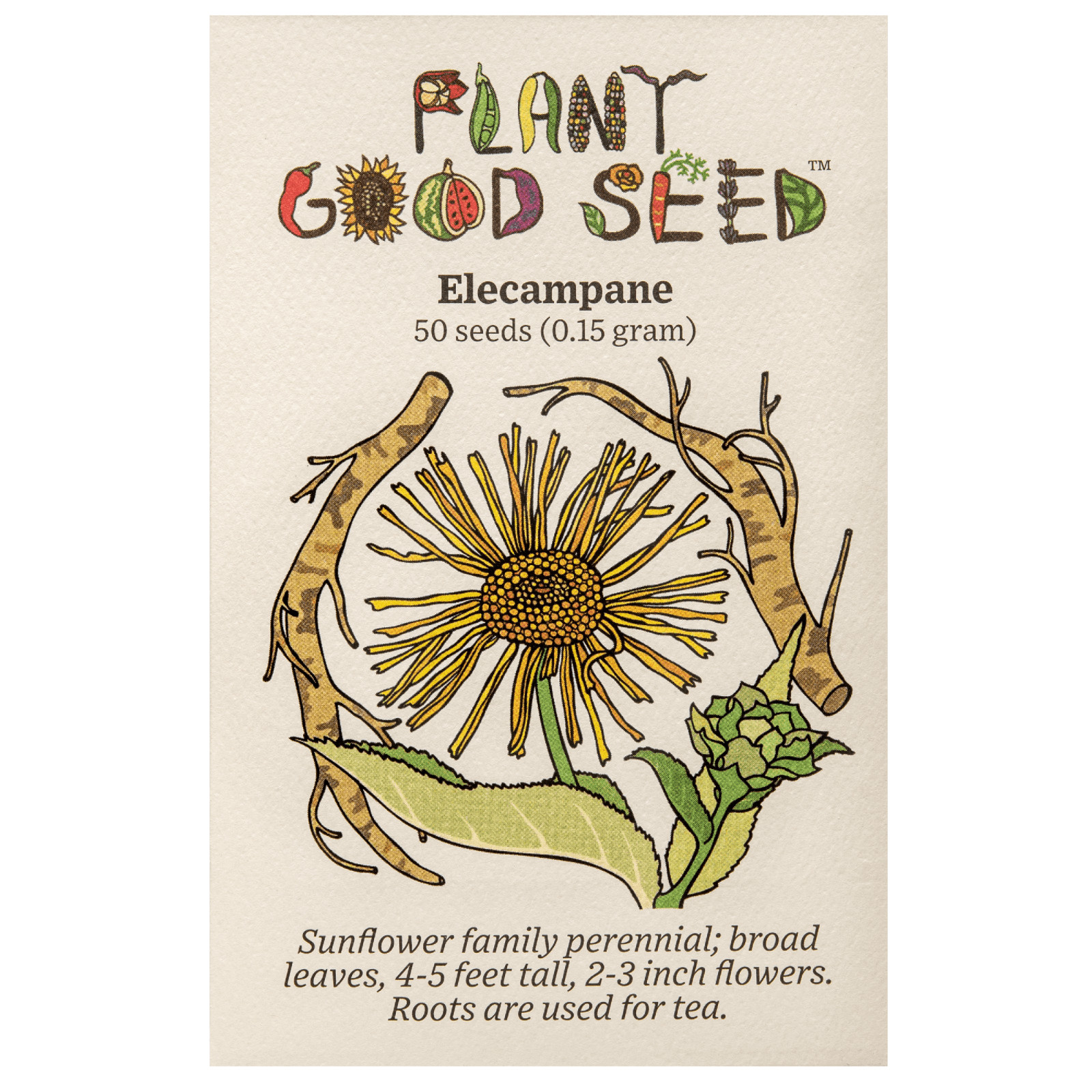 Elecampane Seeds for Planting: 50 Seed Packet Bulk Size Organic Herb Root NonGMO