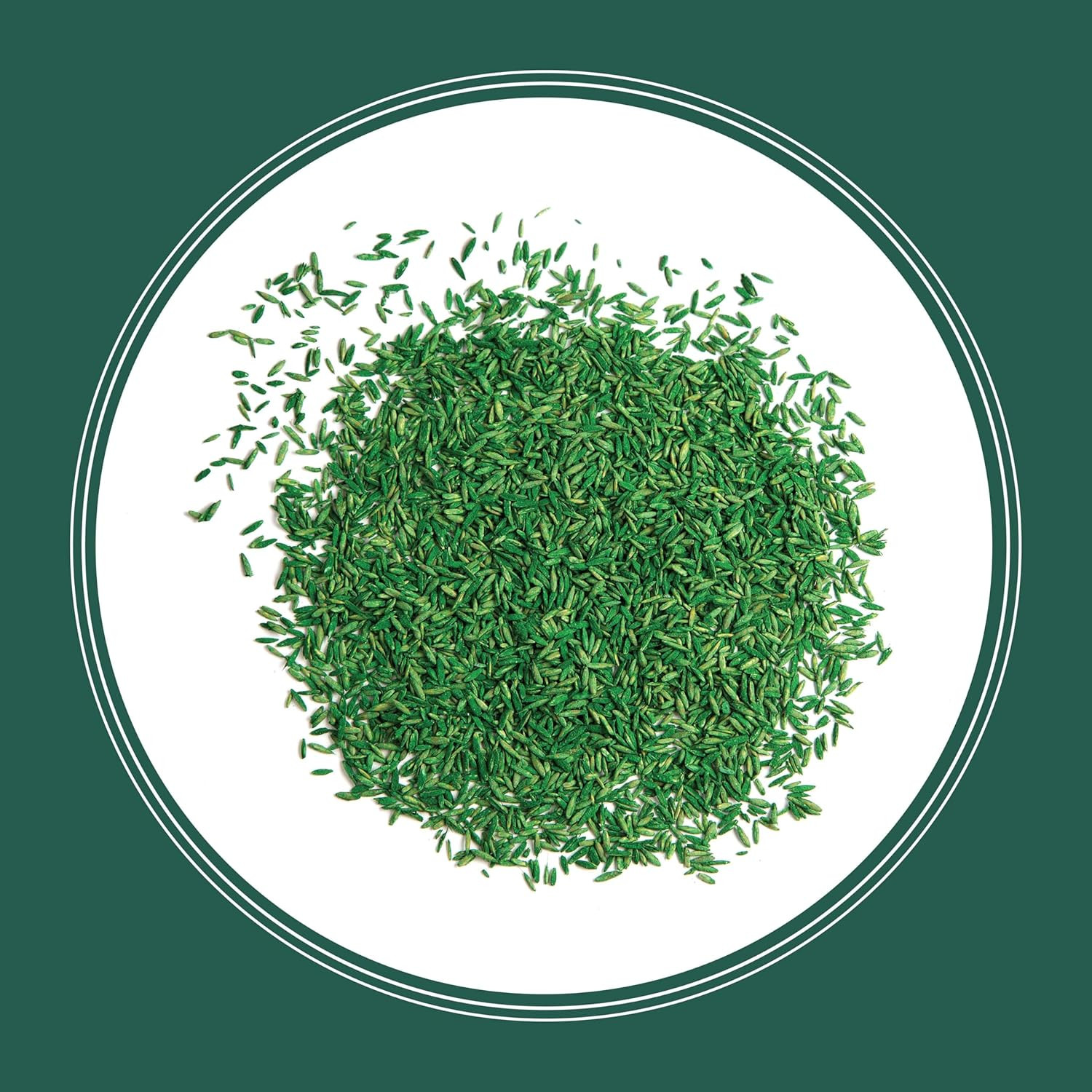 Smart Seed Sun & Shade Grass Mix, 3 lbs, Ideal for Various Conditions