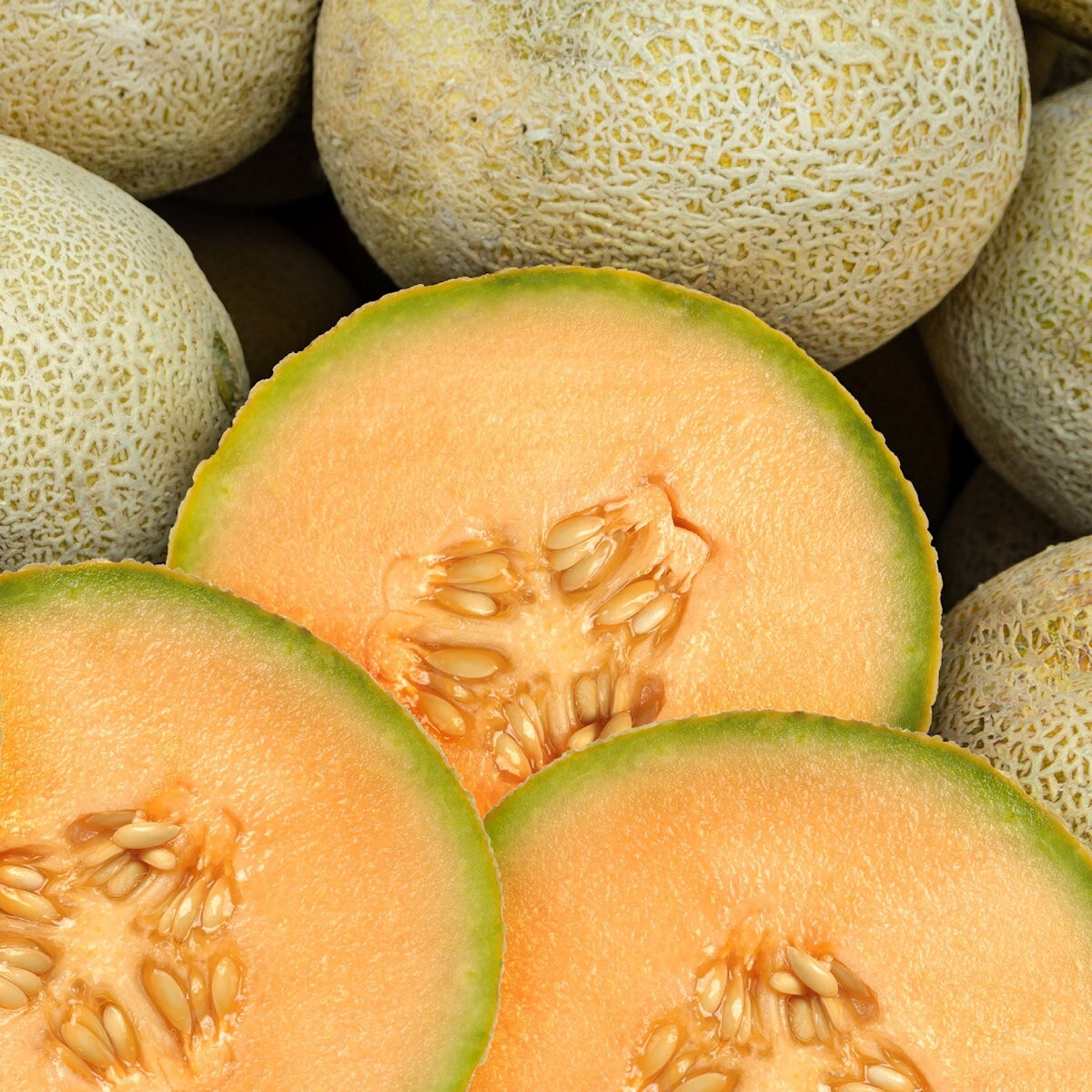 1/4 Lb Delicious 51 Melon Seeds – Everwilde Farms Mylar Seed Packet