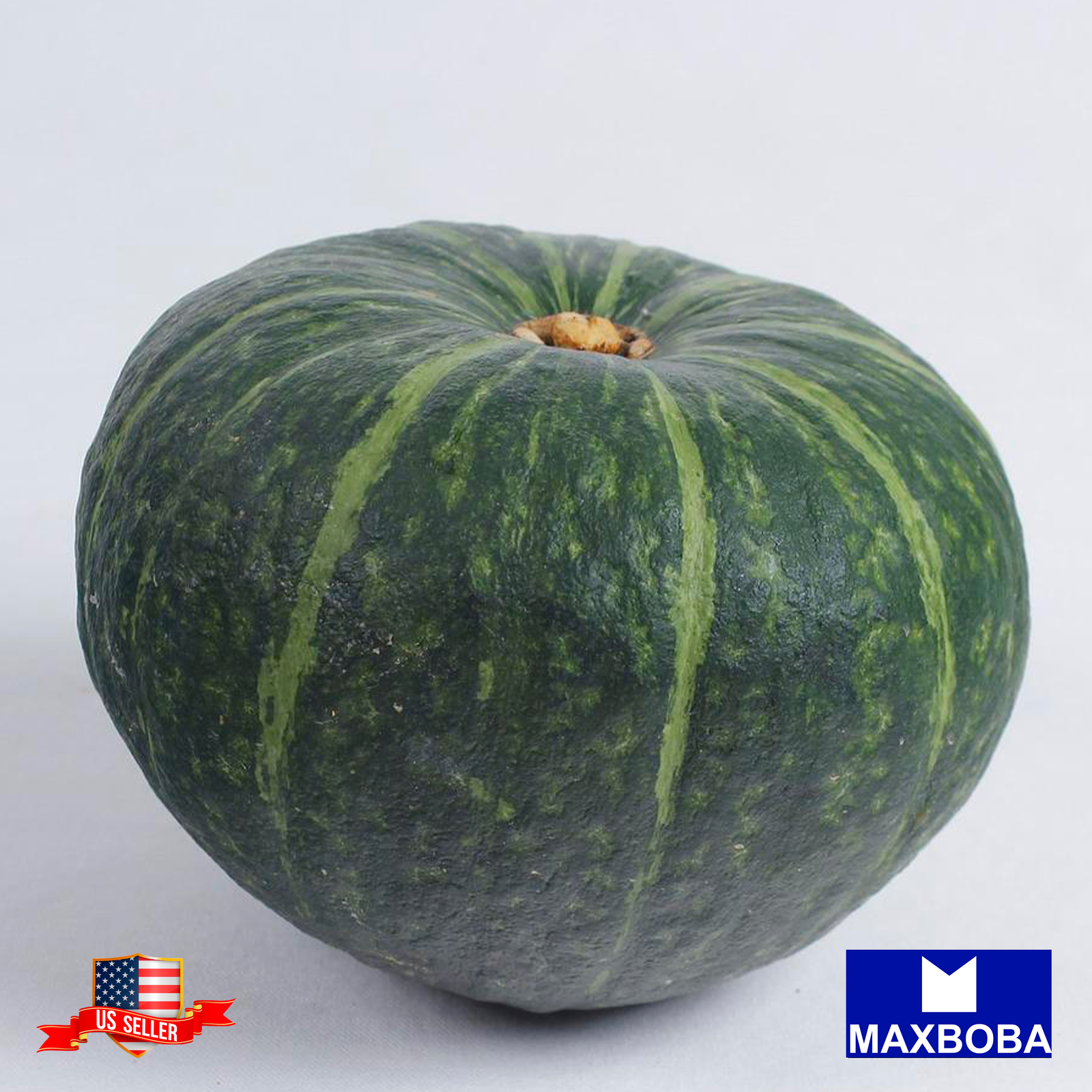 Fresh!!Squash Seeds – Winter – Burgess Buttercup Non-GMO Heirloom Vegetable
