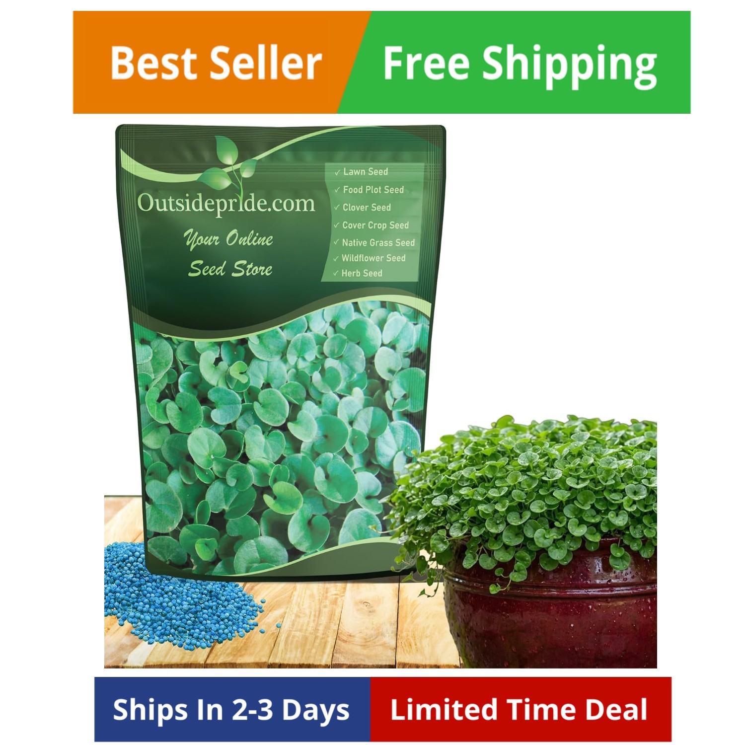 Perennial Dichondra Repens Seeds – 2 lbs Dense Green, Low-Maintenance Ground …