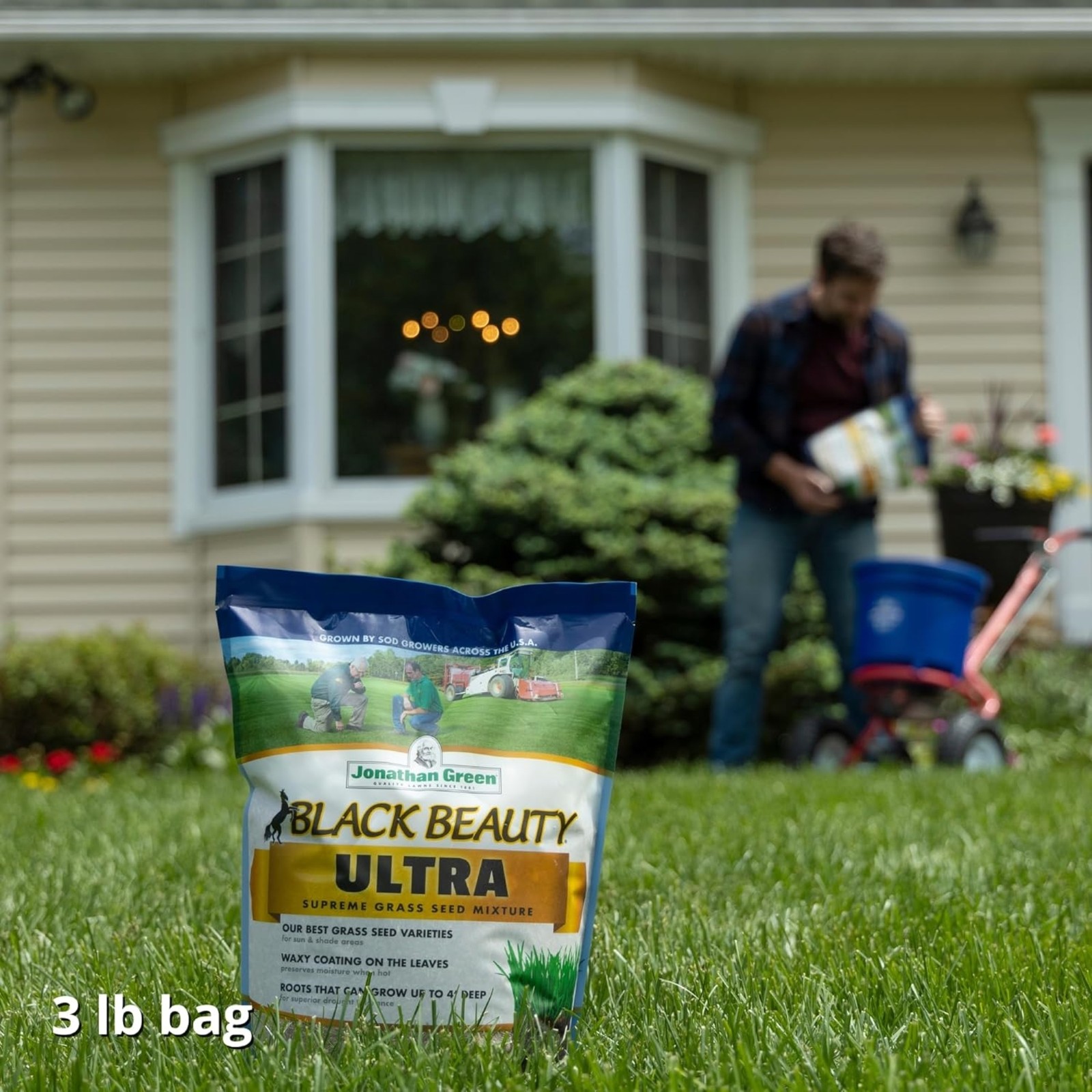 Jonathan Green Black Beauty Ultra Grass Seed Mixture, 3lb