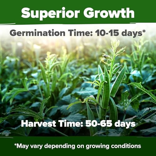 Clemson Spineless Seeds 101+ Heirloom Non-GMO Vegetable Seeds for Okra