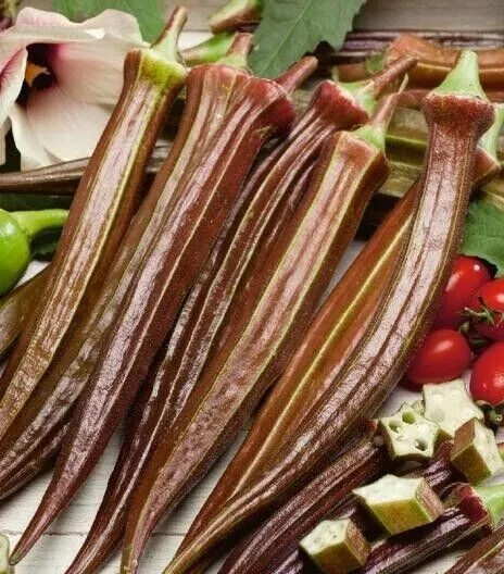 50+ Red Burgundy Okra Seeds – NON GMO — Heirloom — FRESH