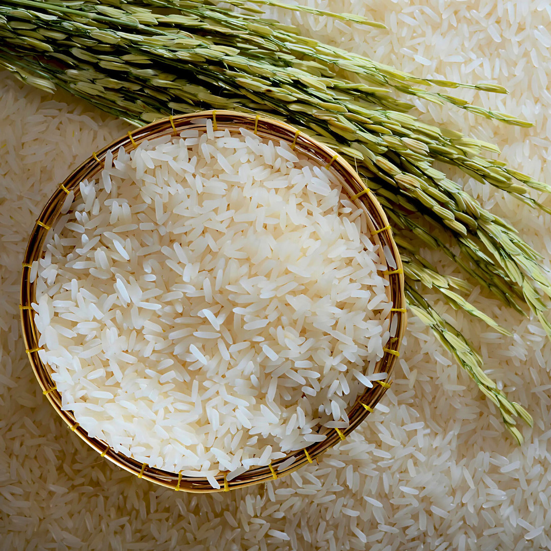 Fresh Thai White Jasmine Rice Seeds | Taiguo Xiang Mi | Heirloom Non-GMO | Grain