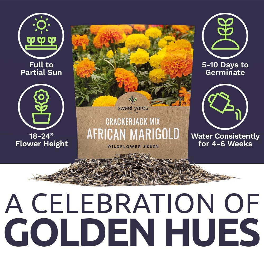 Sweet Yards African Marigold Seeds Mix 1 Ounce (Pack of 1), Orange