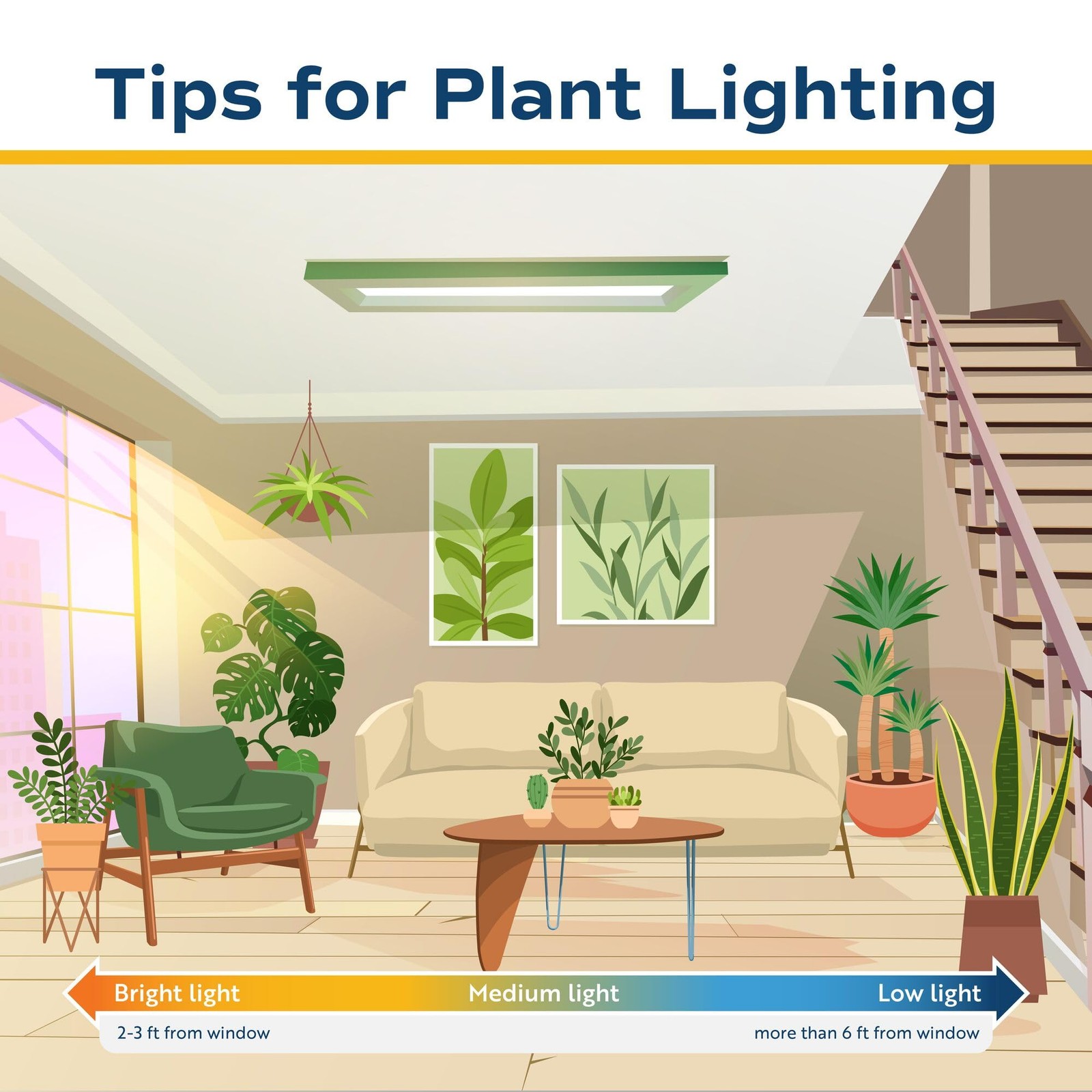 Indoor Houseplants 2 Pack Peace Lily & Chinese Evergreen in Planters