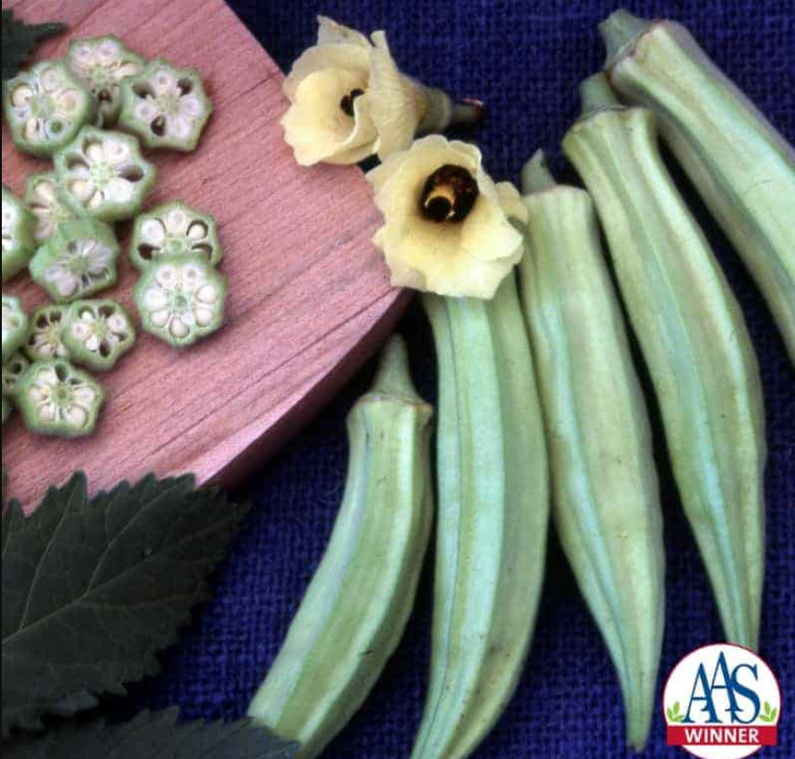 Okra BLONDY Dwarf AAS Winner Edible Flowers & Fruit 3-4″ Pods 60 Seeds