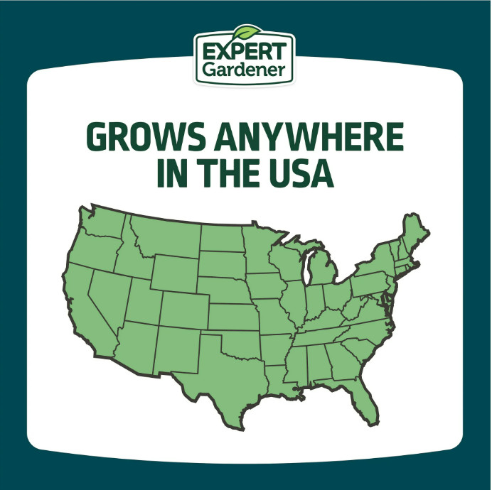 Expert Gardener Kwik Grass Seed Mix, for Sun to Partial Shade, 3 lb.