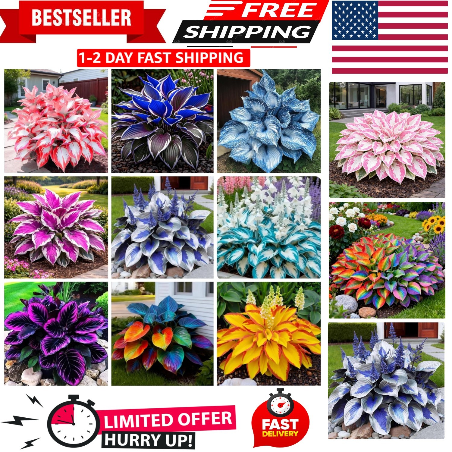 GMO Free 370+ Hosta Seeds – High Germination, Colorful Perennials for Any Garden
