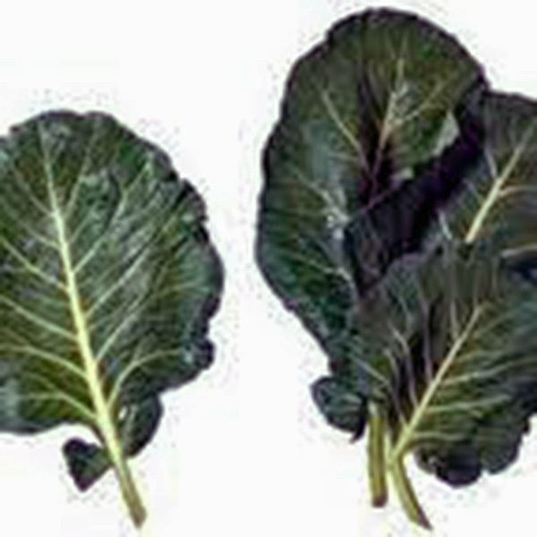 COLLARD GREENS, VATES, HEIRLOOM, 50+ SEEDS, GREAT FOR SALADS, COOKING