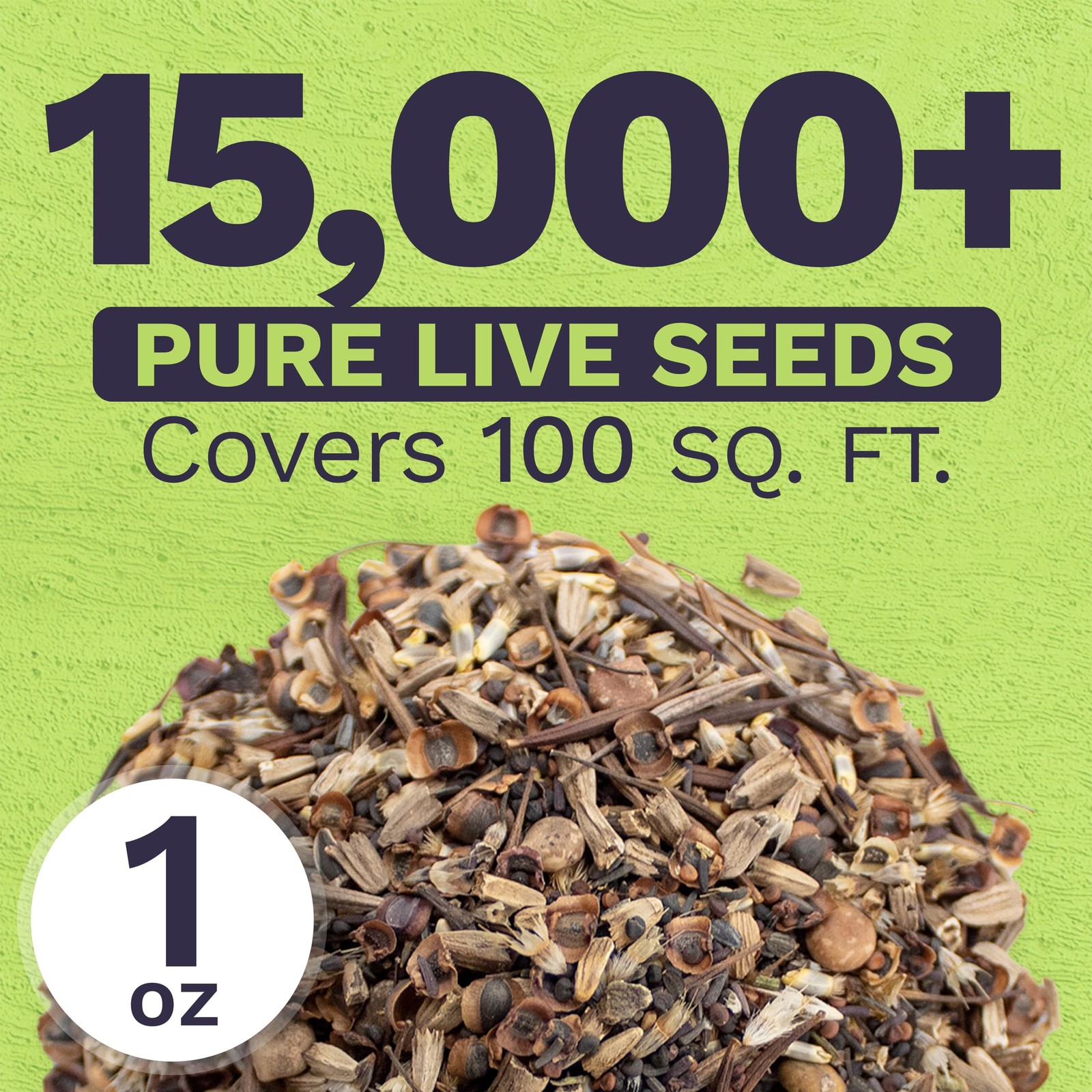Texas Oklahoma Wildflower Seeds Mixture 1 Ounce (Pack of 1), Multiple Colors