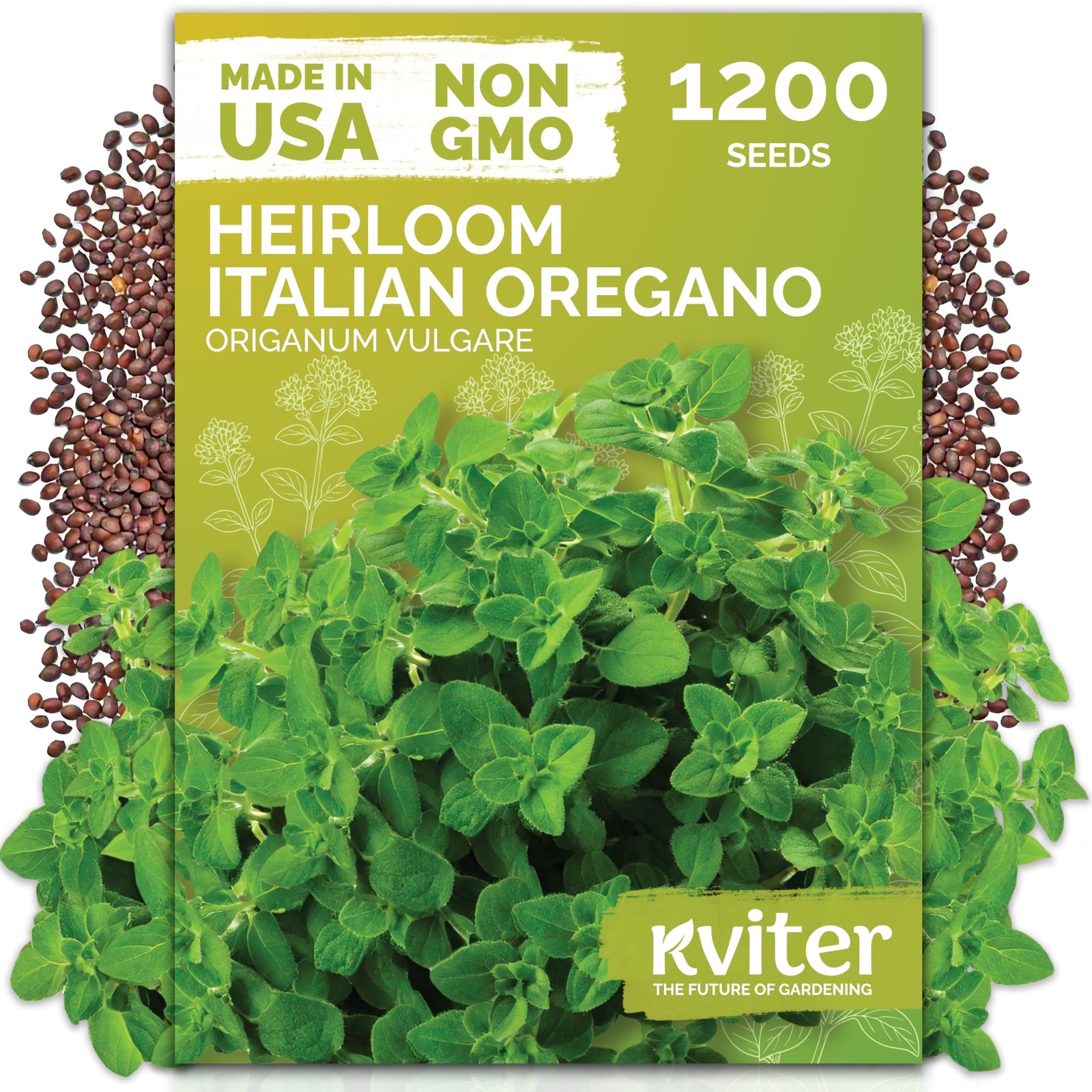 KVITER 1200 Italian Oregano Seeds for Planting (Origanum vulgare)