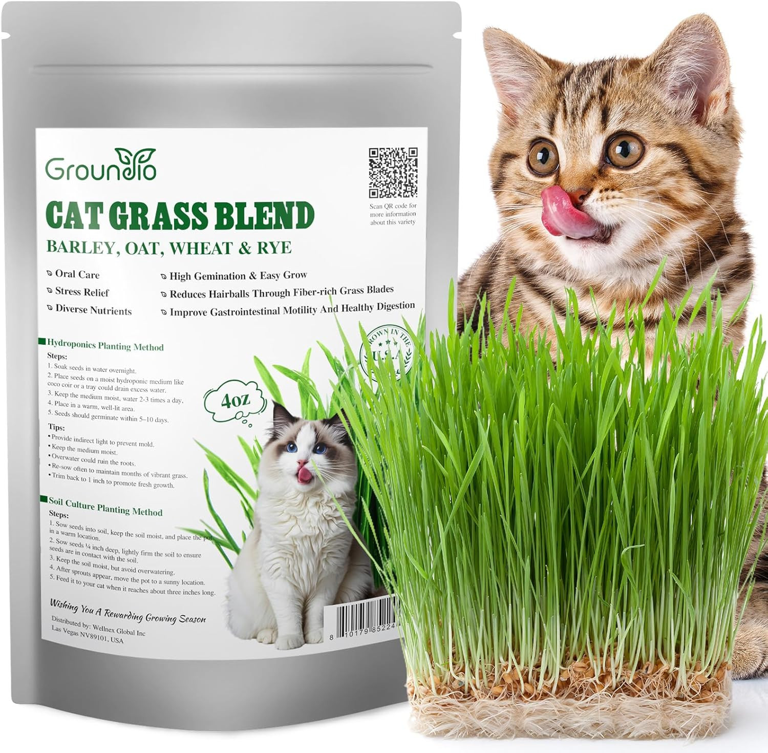 Cat Grass Seeds, Barley, Oats, Wheat, Rye 4 Varieties, Non-GMO Grow in 4-7 Days