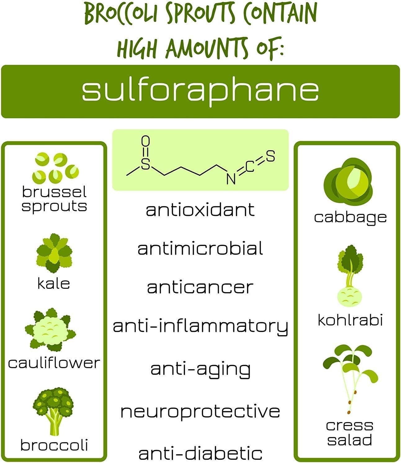 Organic Broccoli Sprouting Seeds – High Sulforaphane Power