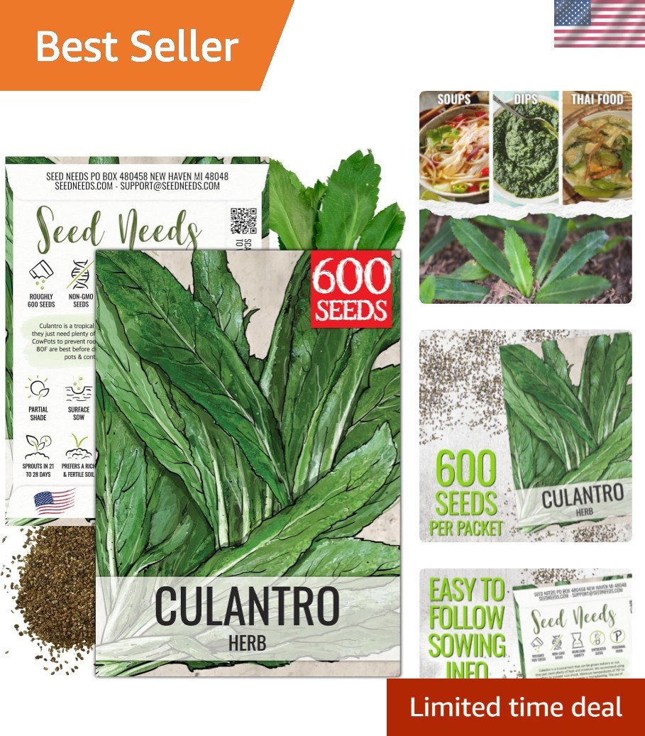 Culantro Seeds for Planting Mexican Coriander – Non-GMO Heirloom & Untreated …