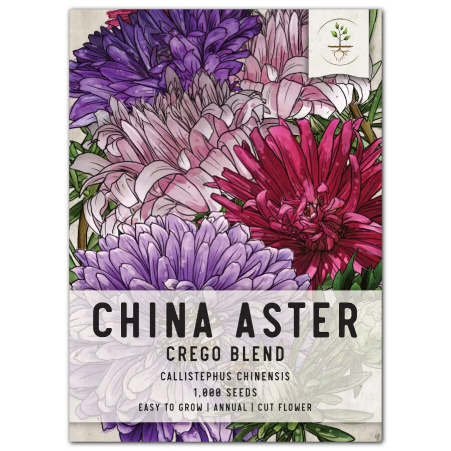 3 – Crego Mixture China Aster Seeds For Planting (Callistephus chinensis) 1,000