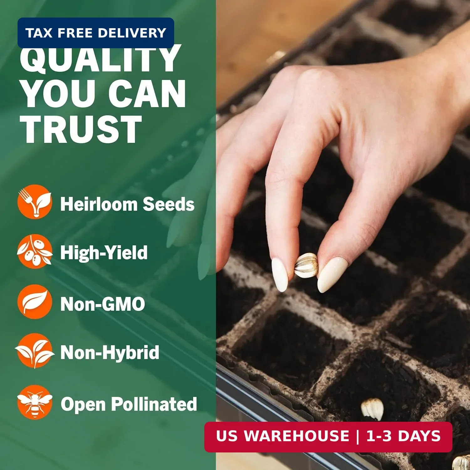 Open Seed Vault |15,000 Heirloom Seeds | 32 Seed Types | Survival Seeds | 2026 S