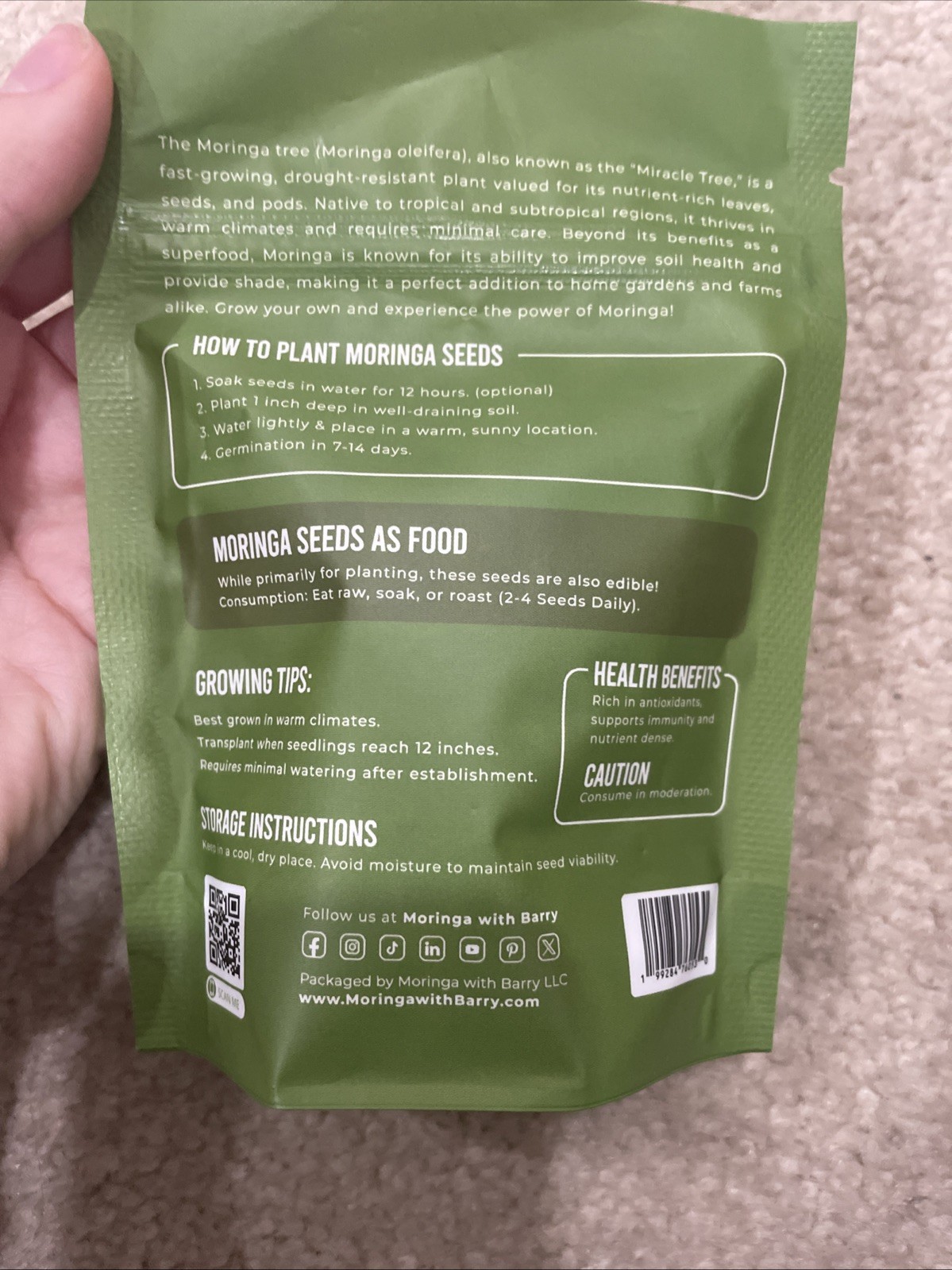 Moringa Seeds 100 Count Moringa Tree Seeds High Germination Rates