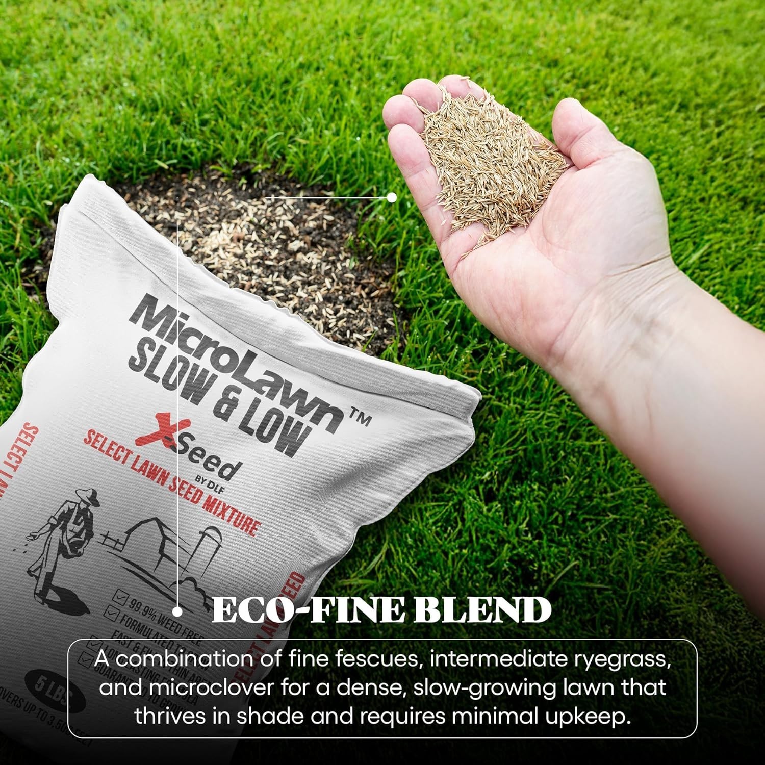 X-Seed Micro-Lawn Slow & Low Grass Seed for Cool Season Lawns, No Mow Natural
