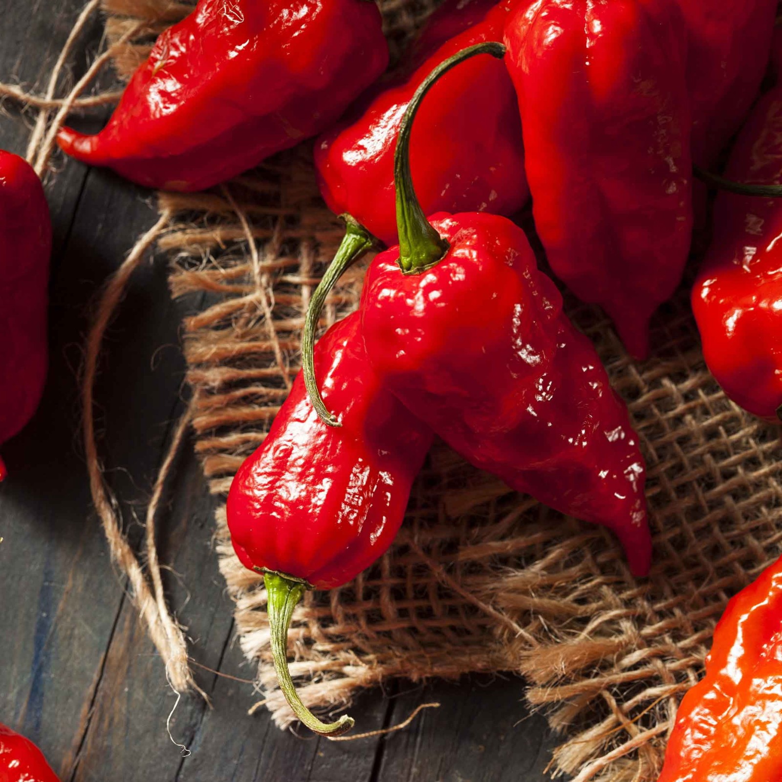 Ghost Pepper Seeds, Bhut Jolokia, EXTREMELY HOT PEPPER