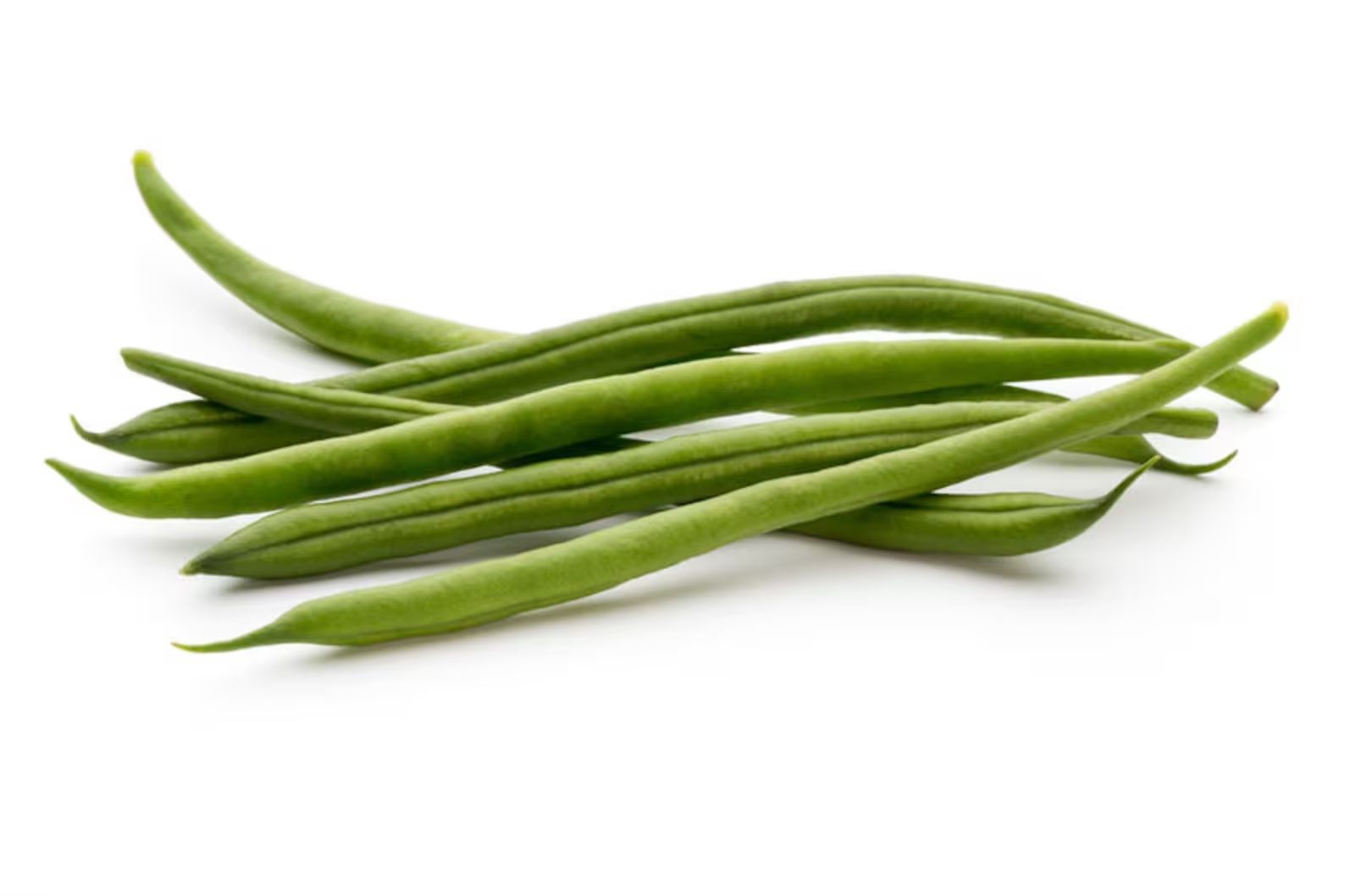 25 Heirloom Seeds Jade II Bean Seeds!