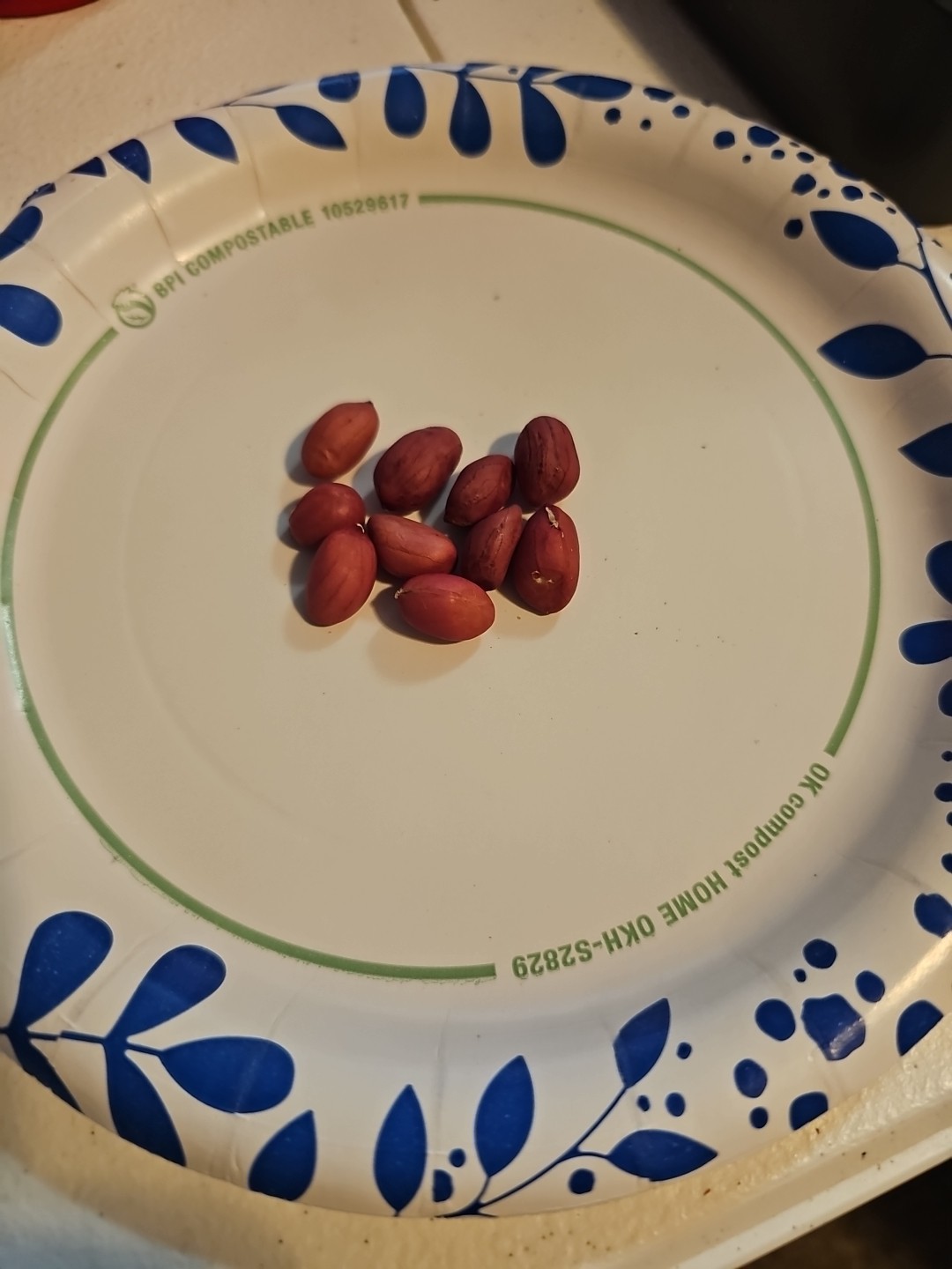1 Pound (700 Shelled) Tennessee Red Valencia Peanuts In Shell