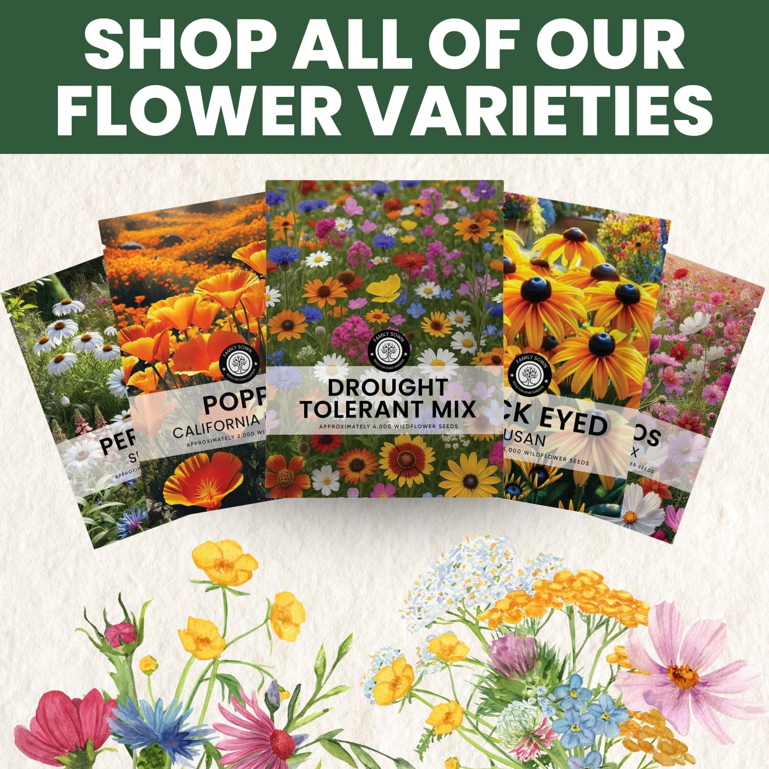 Drought Tolerant Mix – 22,000 Seeds for Planting – 2026 Season – 1 Ounce Pouch