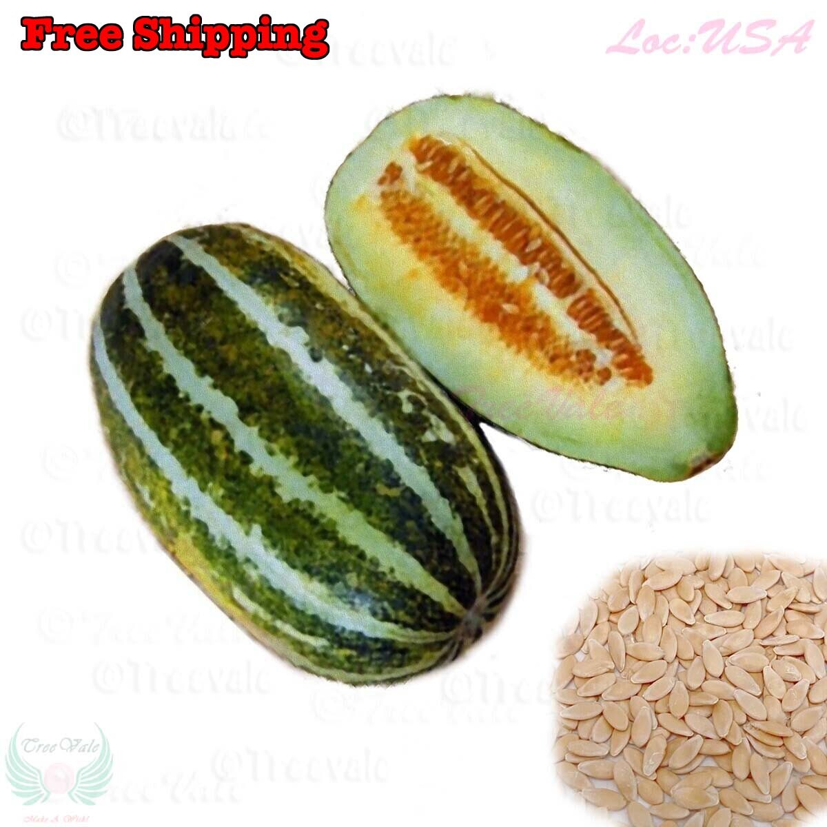 Fragrant Musk Melon seeds, Dưa Gang, Thai Long Muskmelon | Non-GMO, Organic
