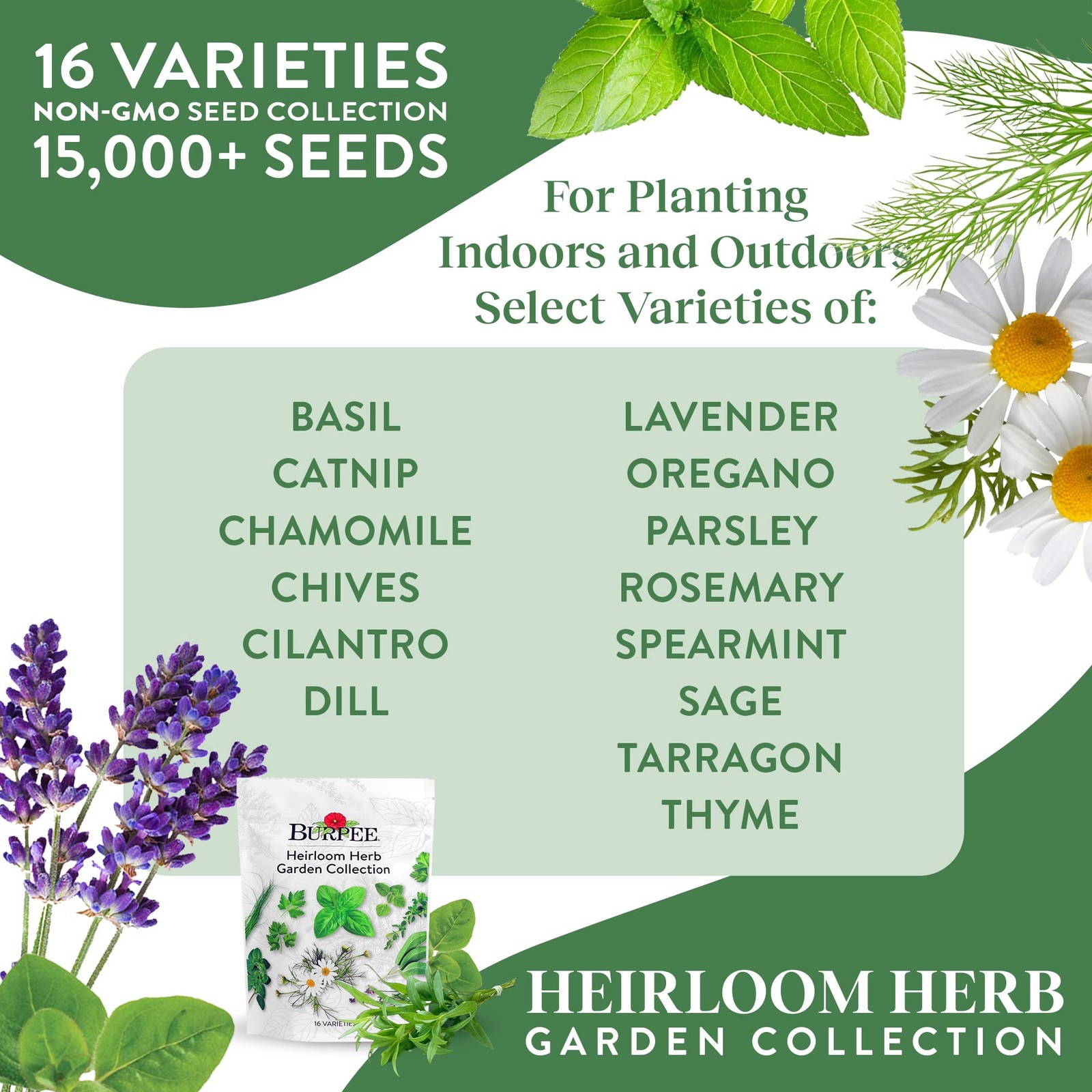 Burpee Heirloom Herb Seeds Variety Pack, Non-GMO, Best 16