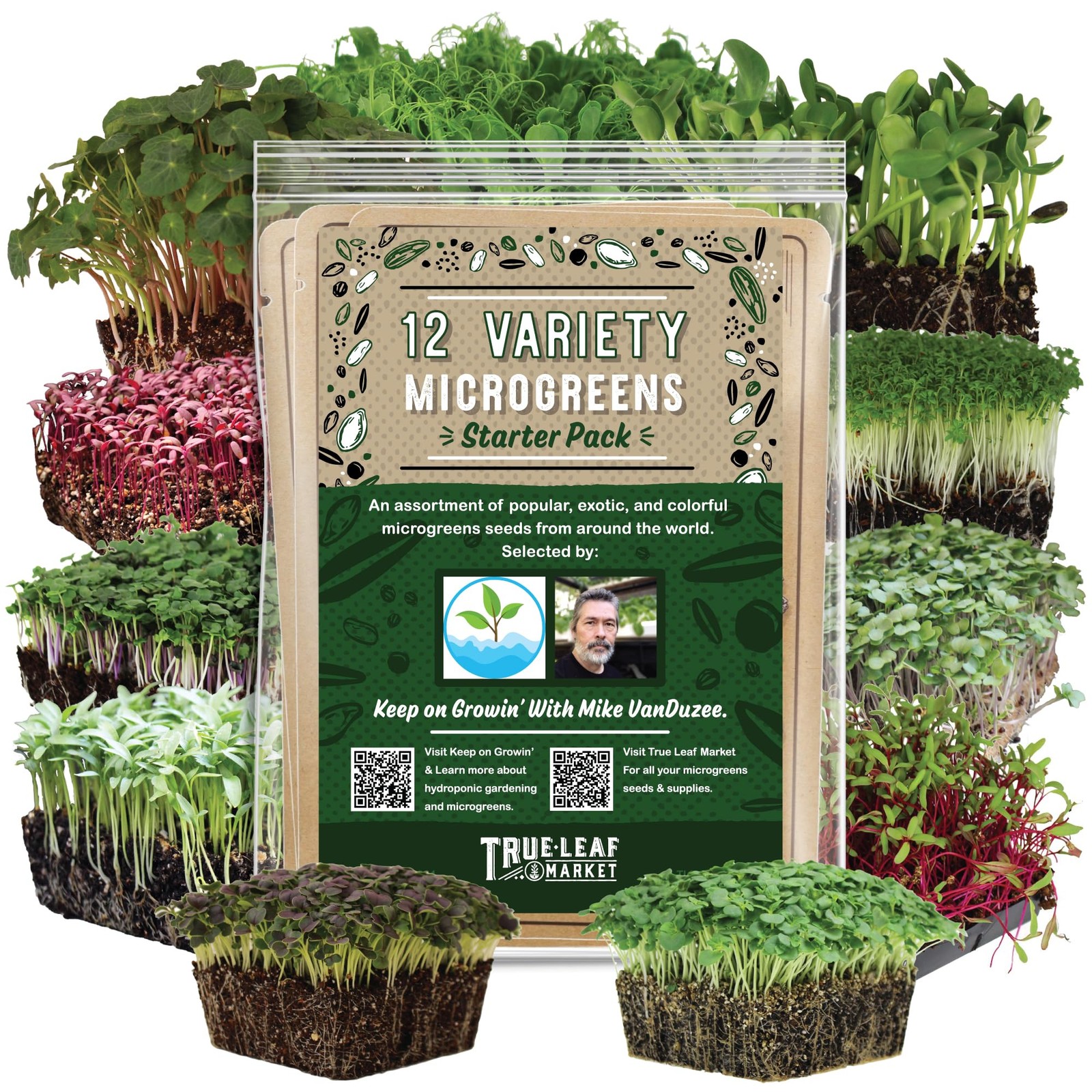 12 Variety Pack Microgreens Seeds Kit – Broccoli Seed for Sprouting Plus Purp…