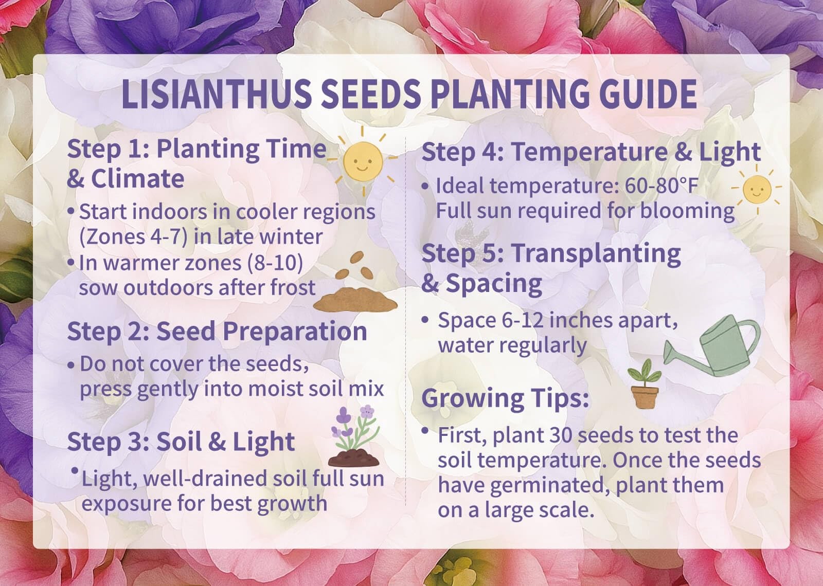 2000+ Lisianthus Seeds for Planting 2 Pack Mixed Color Perennial Eustoma Gra…