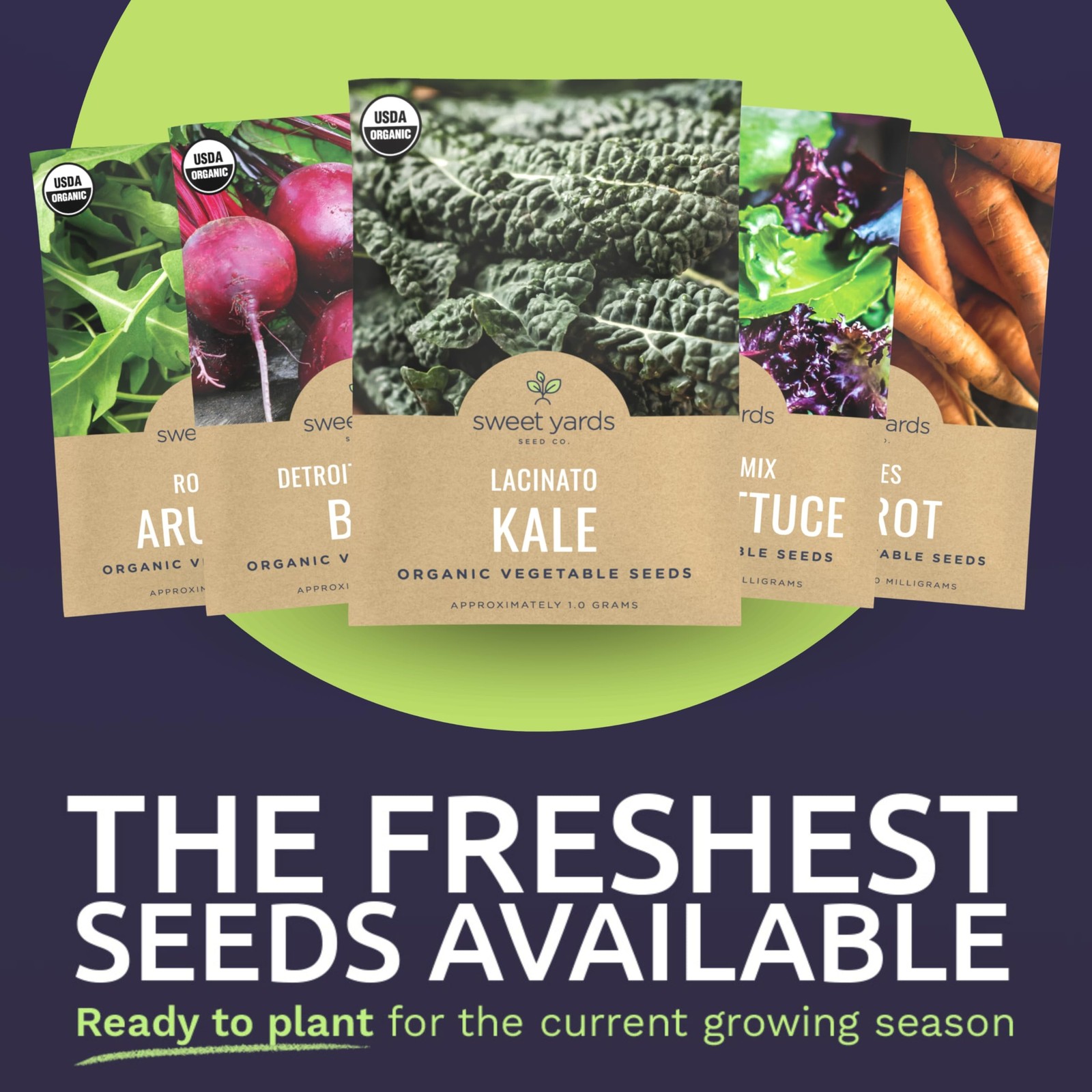 Organic Spring & Fall Seeds Variety Pack 13 NonGMO Packs for Planting