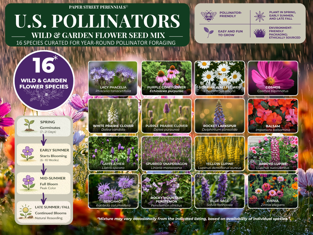 Birds, Bees, Butterflies, Pollinators Bulk Wildflower Seed Mix