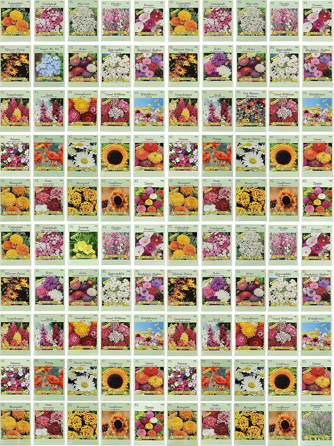 Set of 100 Assorted Valley Green Flower Seed Packets! Flower Seeds in Bulk – …