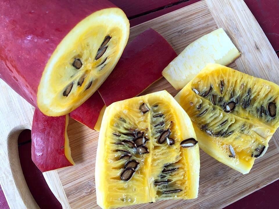 Organic Sicana odorifera 8 Seeds cassabanana musk cucumber puttigel sikana