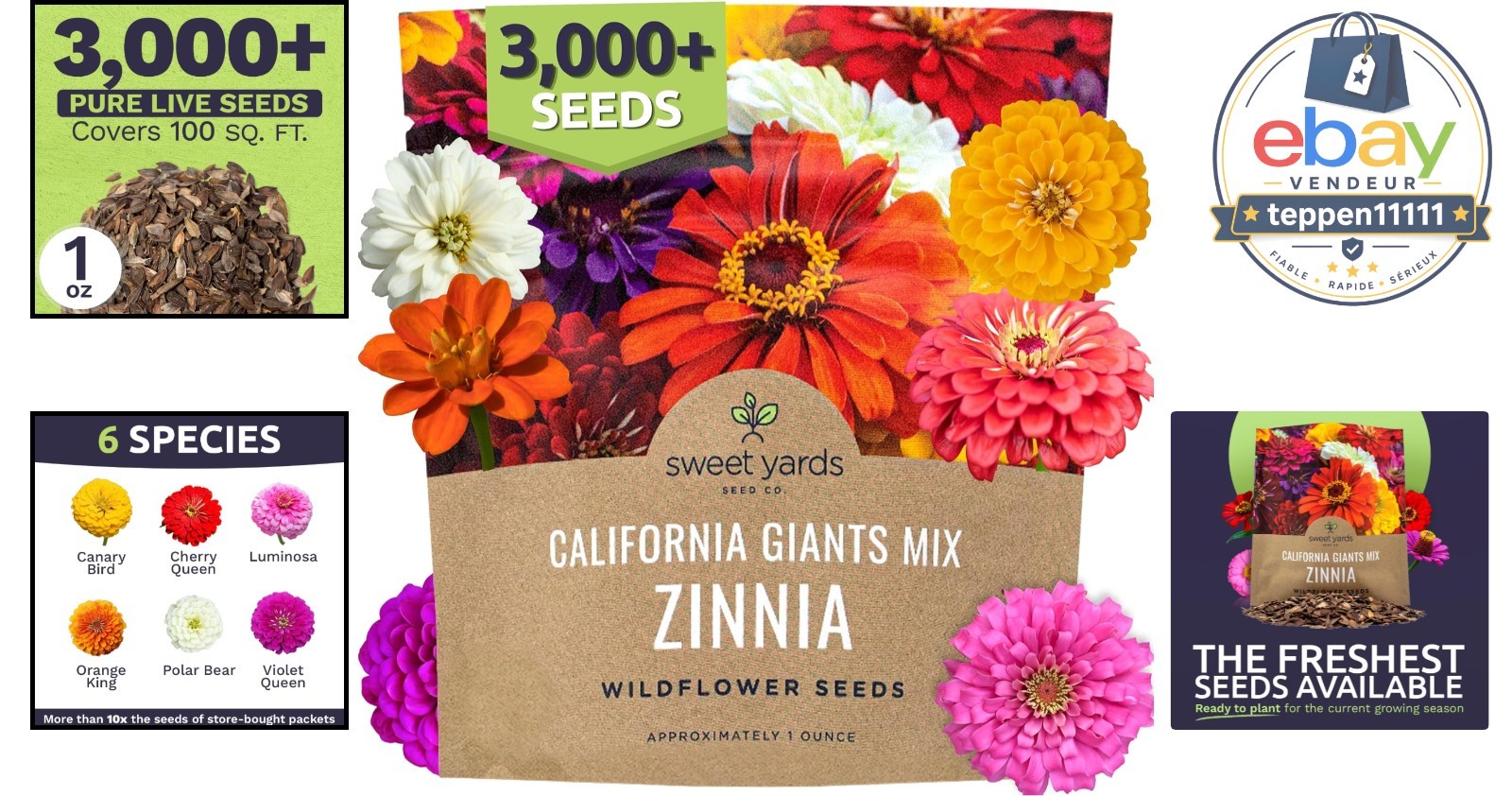 Zinnia Seeds 3000 Count Large 1 Ounce Packet Mixed Colors