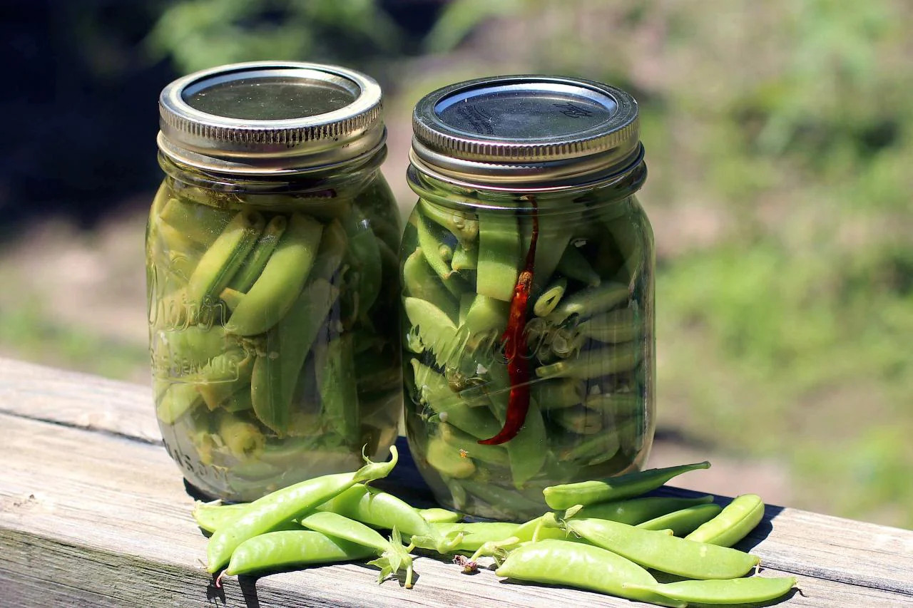 Sugar Ann Snap Pea Seeds | AAS Winner Garden English Field Asian Snow Peas 2024