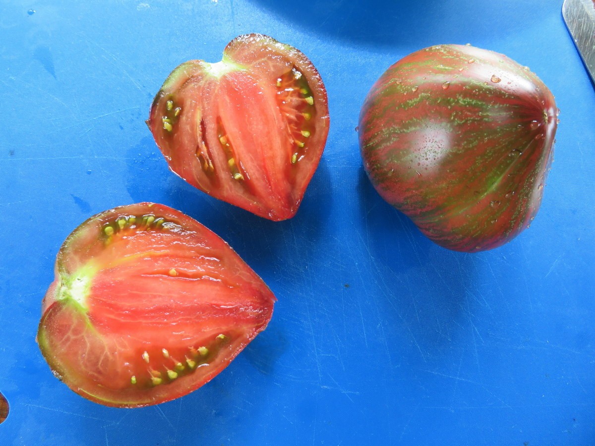 10 seeds Rebel Starfighter Prime Heart Tomato Rare ORGANIC Variety