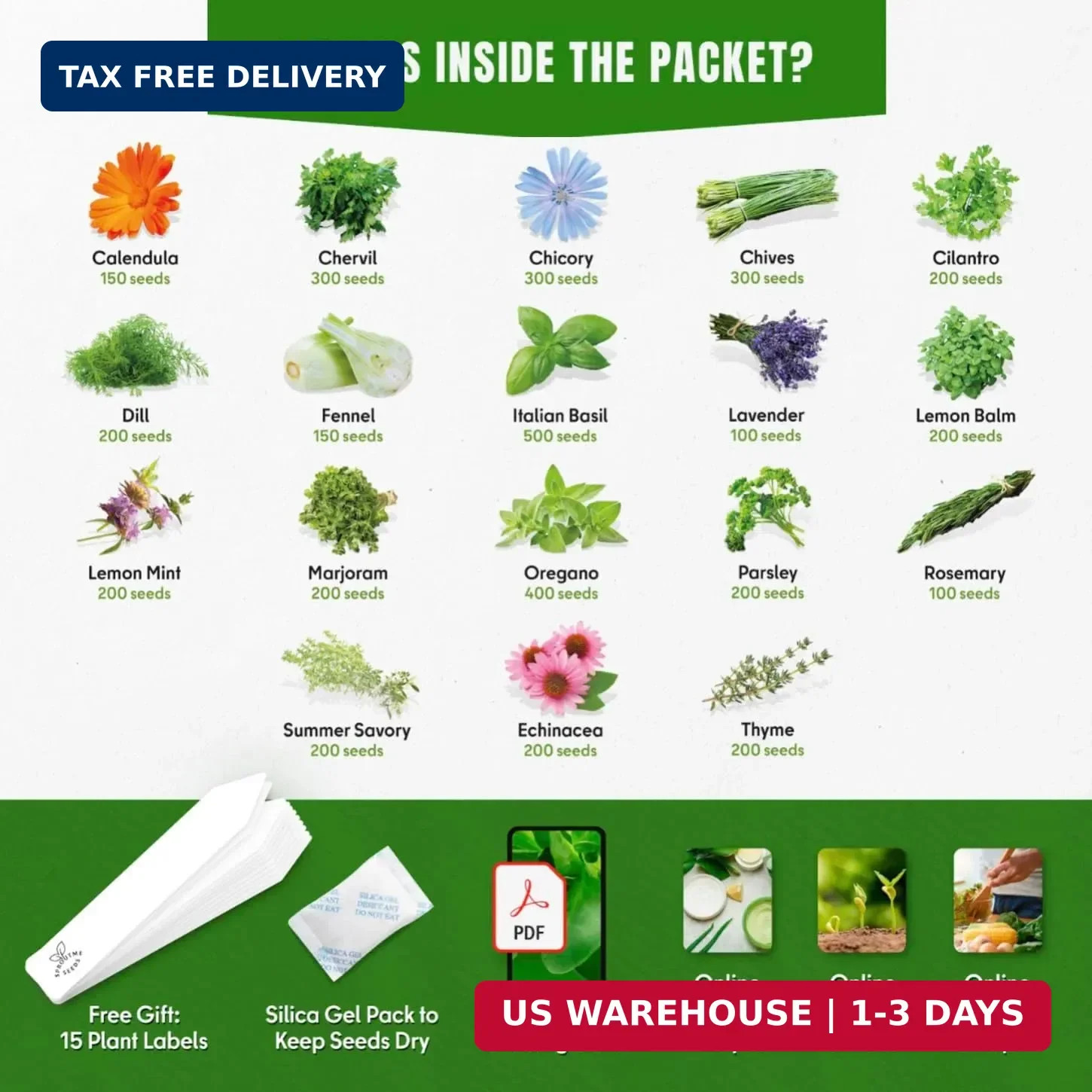 Culinary Herb Seeds Variety Pack – Basil, Cilantro, Parsley, Oregano, Rosemary &