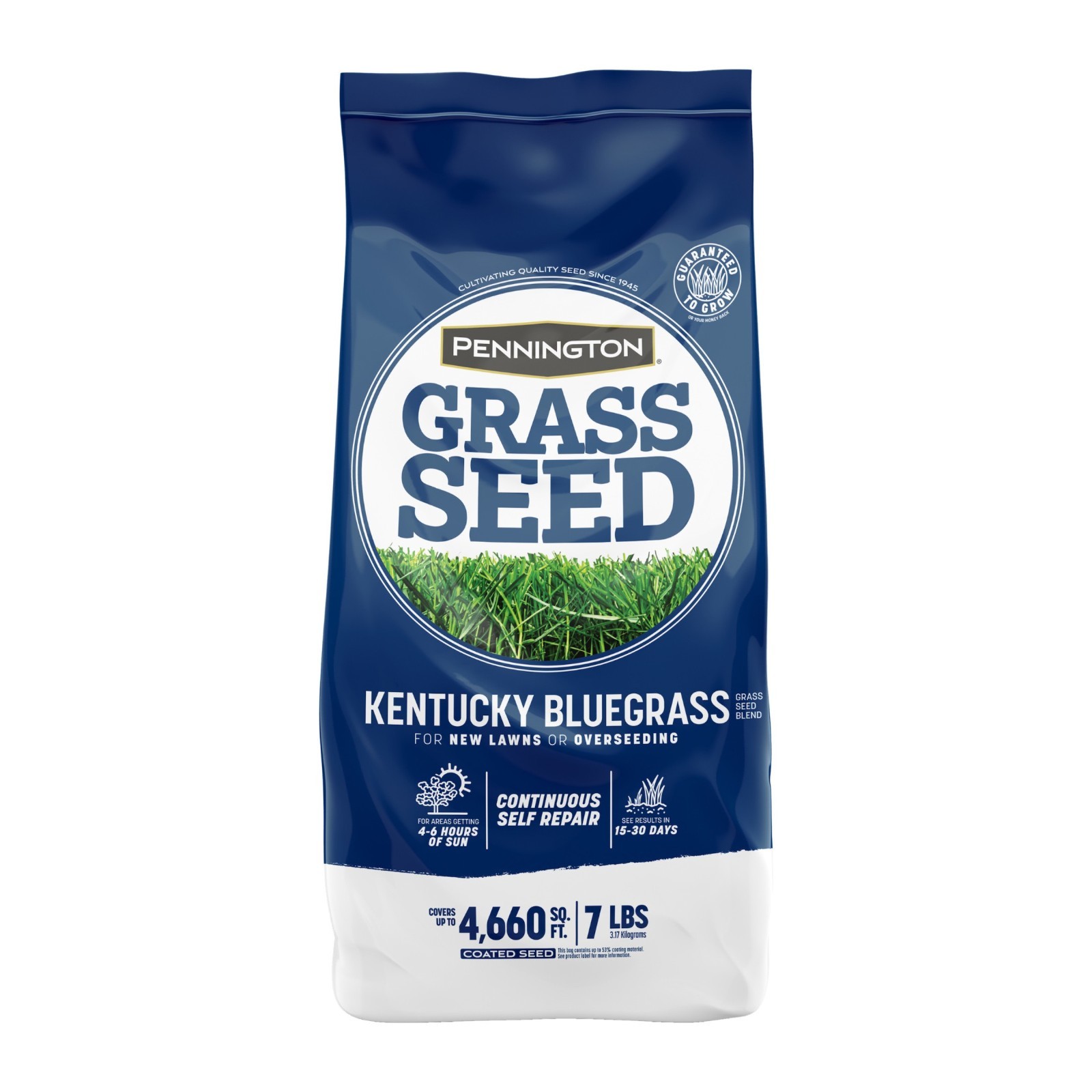 Pennington Kentucky Bluegrass Northern Grass Seed Mix for Sun to Partial Shade,