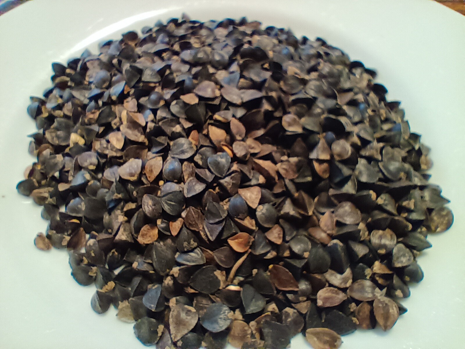Buckwheat Seeds – Nutrient-Dense, Fast-Growing Green Manure & Cover Crop