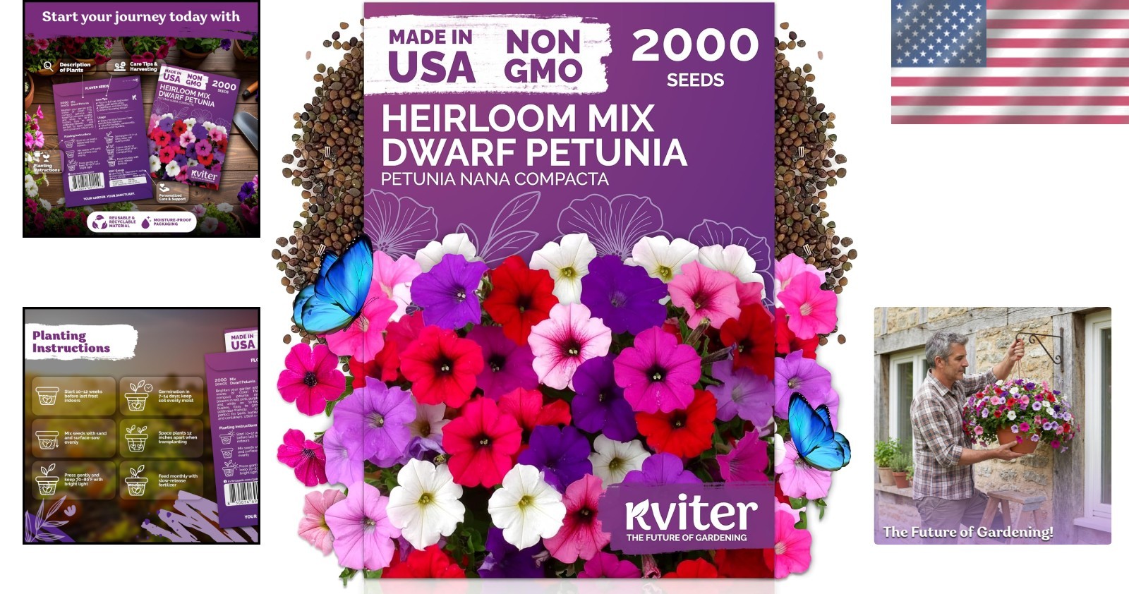High Germination Dwarf Petunia Seeds – Vibrant 2,000 Count for Containers