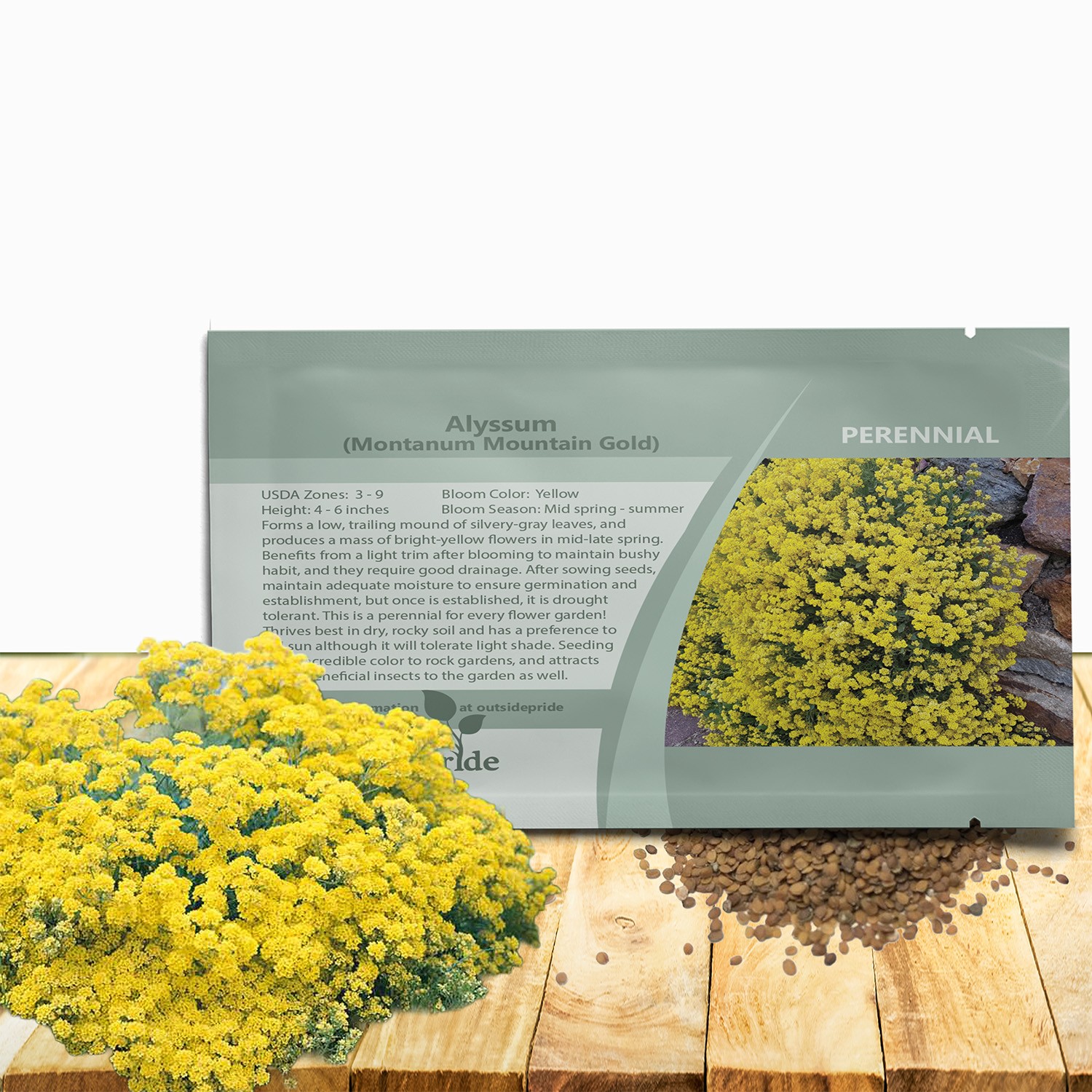 10000 Seeds Yellow Alyssum Mountain Gold Seeds For Planting Outdoors –