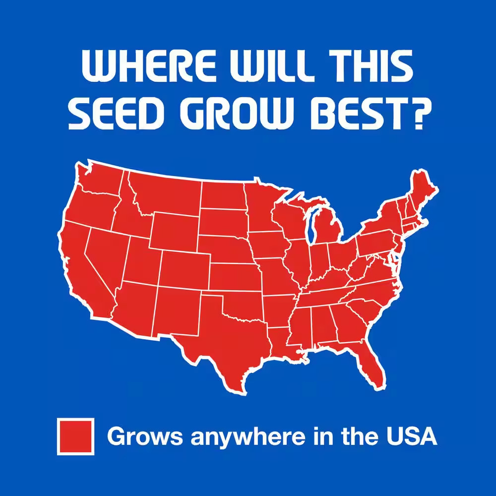 3 Lbs. Sun and Shade Grass Seed Mix