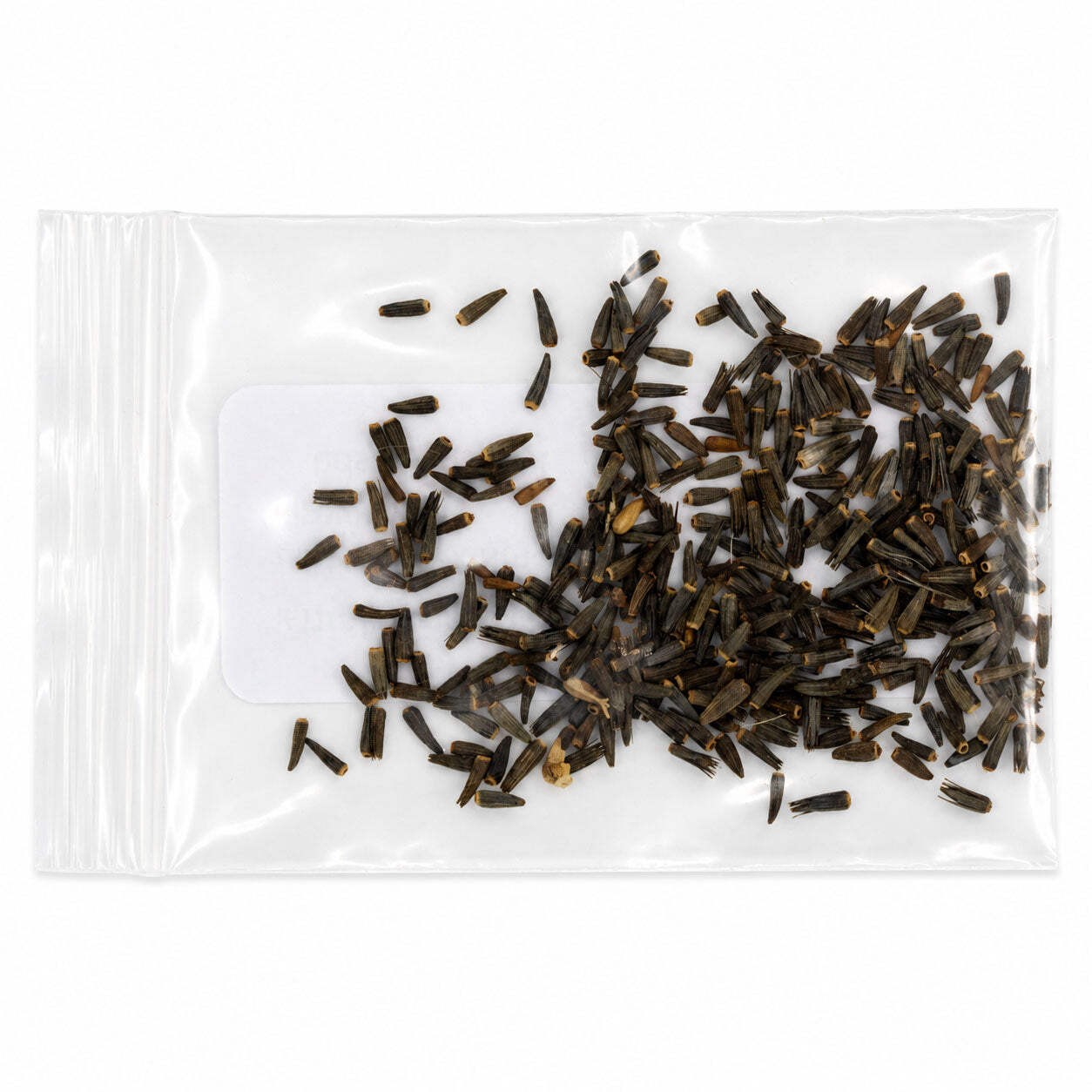 Mini Native Tall Bird Lovers Seed Mix | Prairie Legacy Inc.