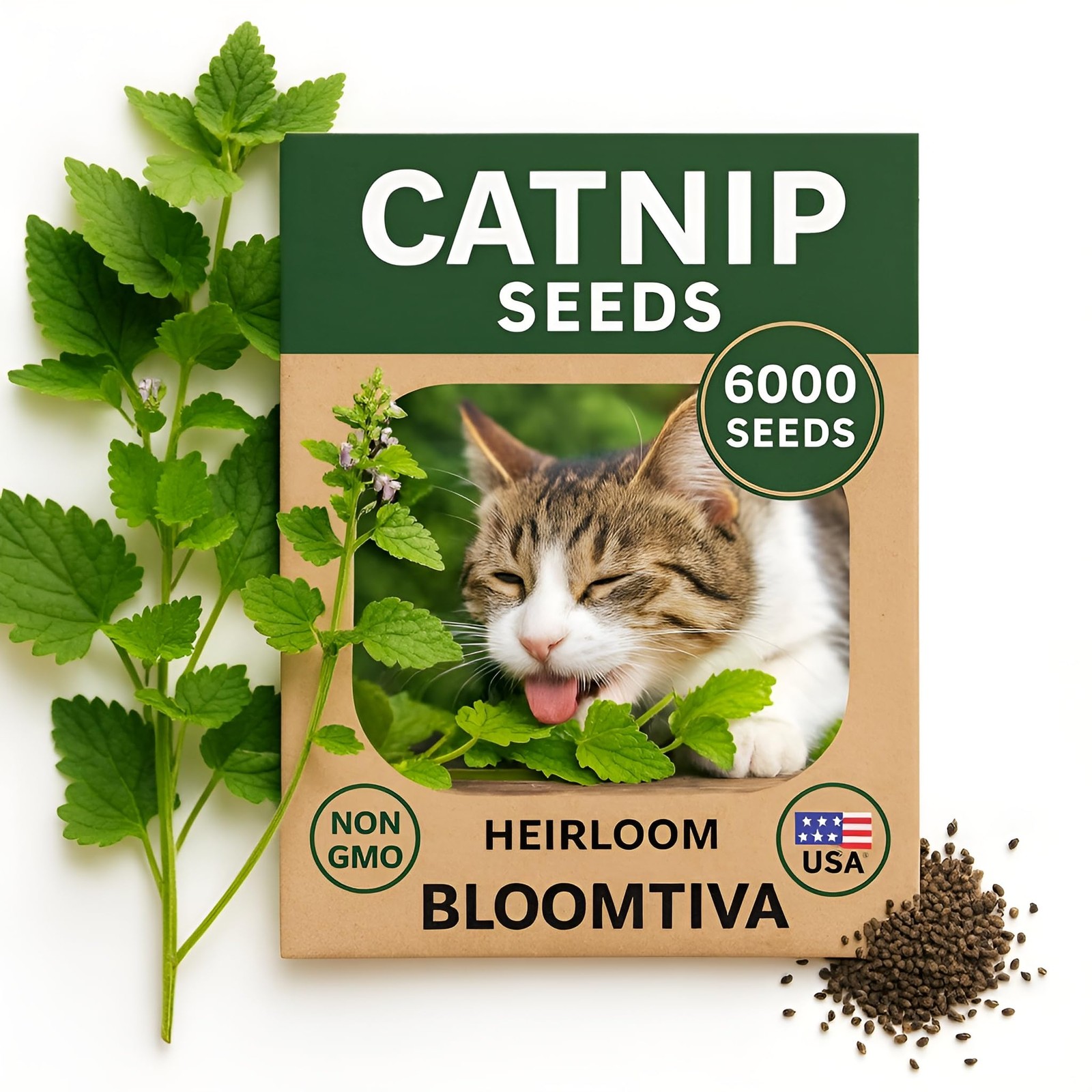 Catnip Seeds for Planting Indoors & Outdoors – High Germination Rate, Bulk Pack