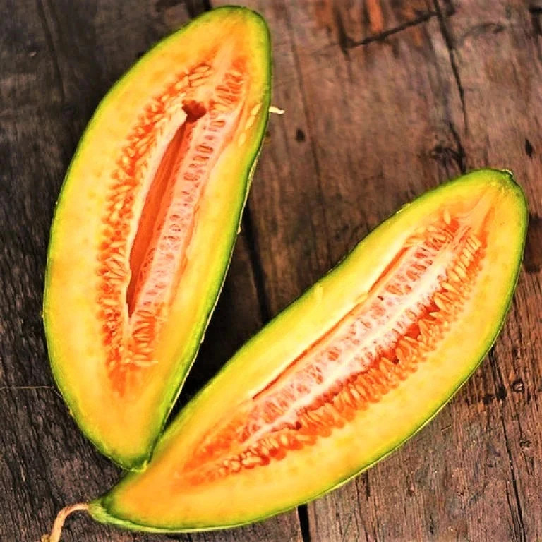 25+ Banana Melon Seeds, Banana Cantaloupe, FREE SHIPPING USA Seller