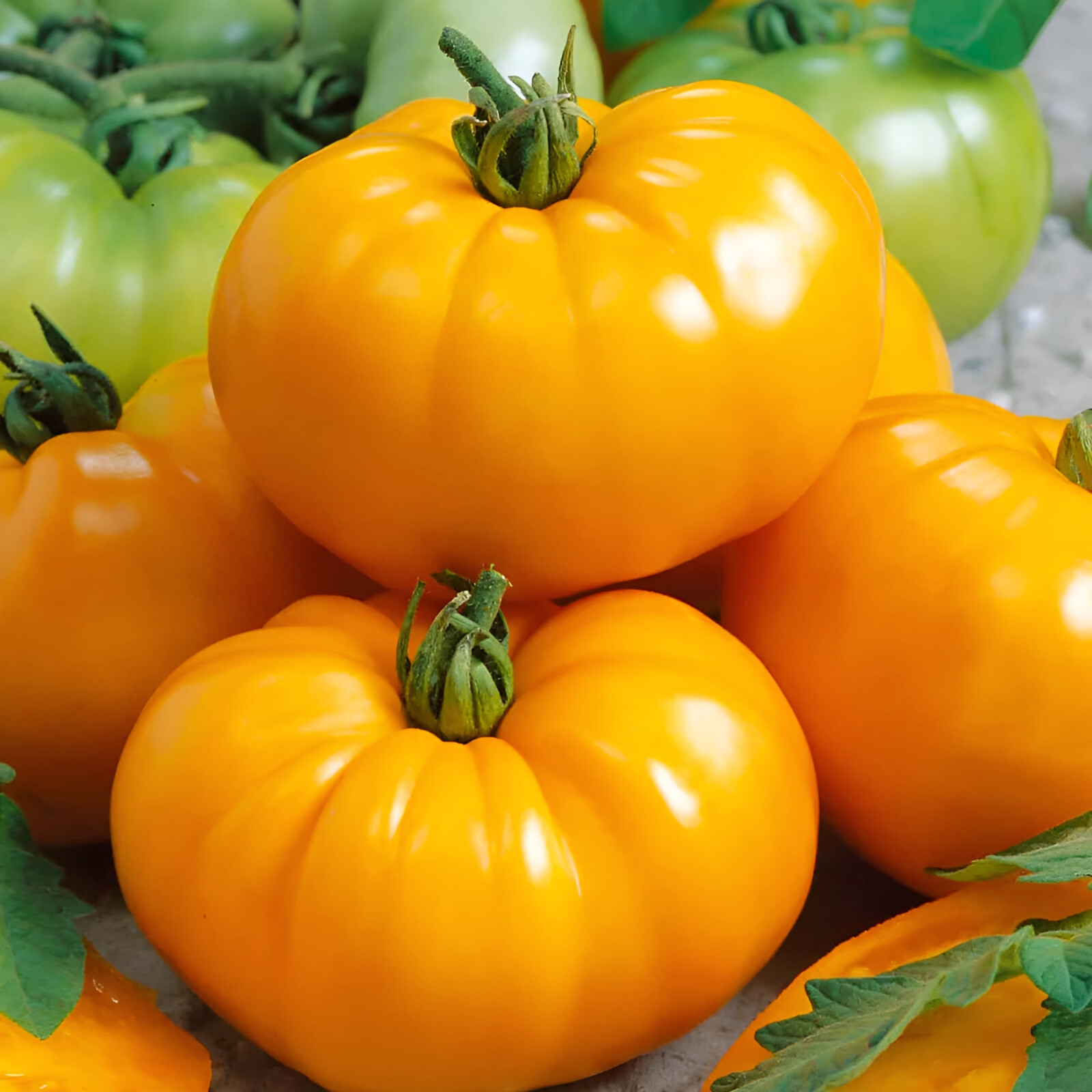 100 Heirloom Yellow Brandywine Tomato Seeds – The Most Flavorful Yellow Tomato!!